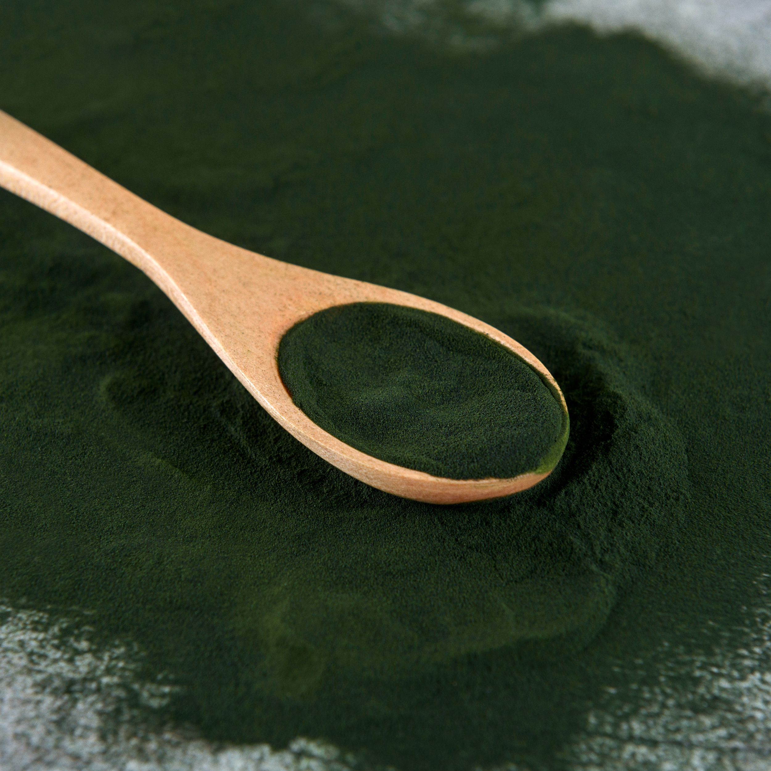 Bio Chlorella Pulver - Bio Qualität - 250g Beutel von Tasty Pott 
