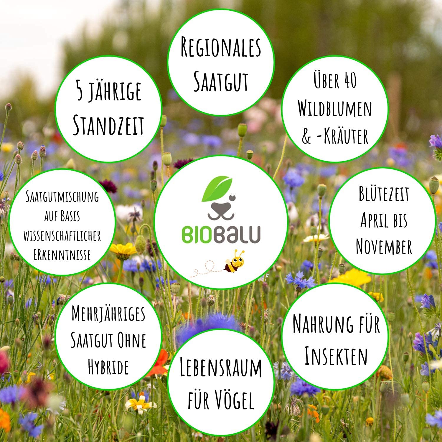 Biobalu Bienenweide - Zum Selberpflücken und Freude schenken 100x 4g Biobalu Bienenweide - Zum Selberpflücken und Freude schenken 100x 4g