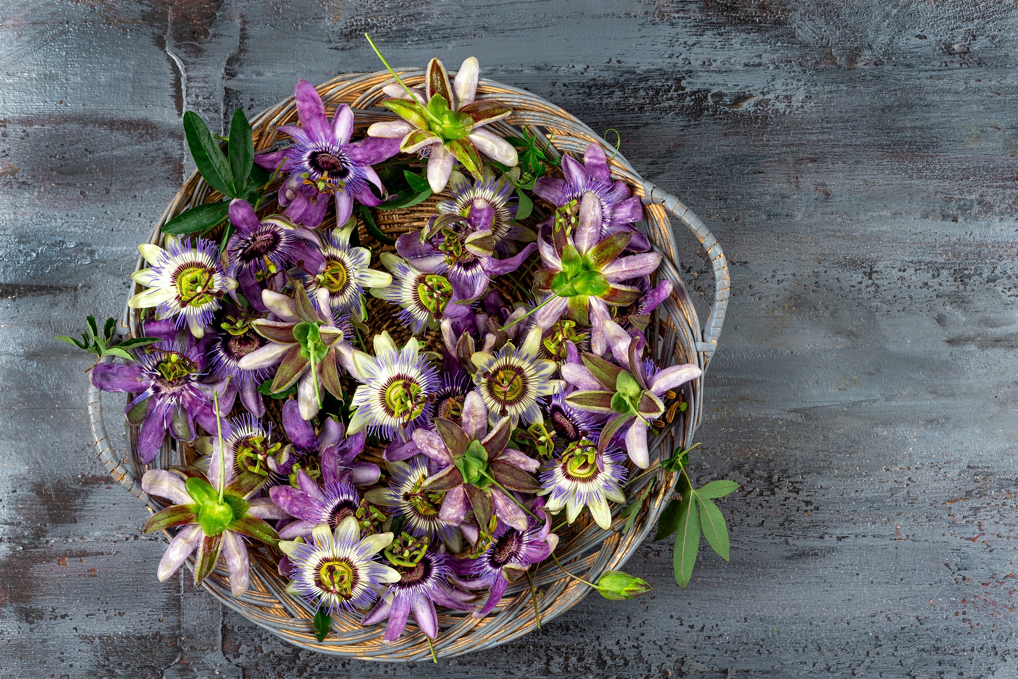 Passionsblumenkraut geschnitten – Natürlich & Aromatisch | Tasty Pott 100g