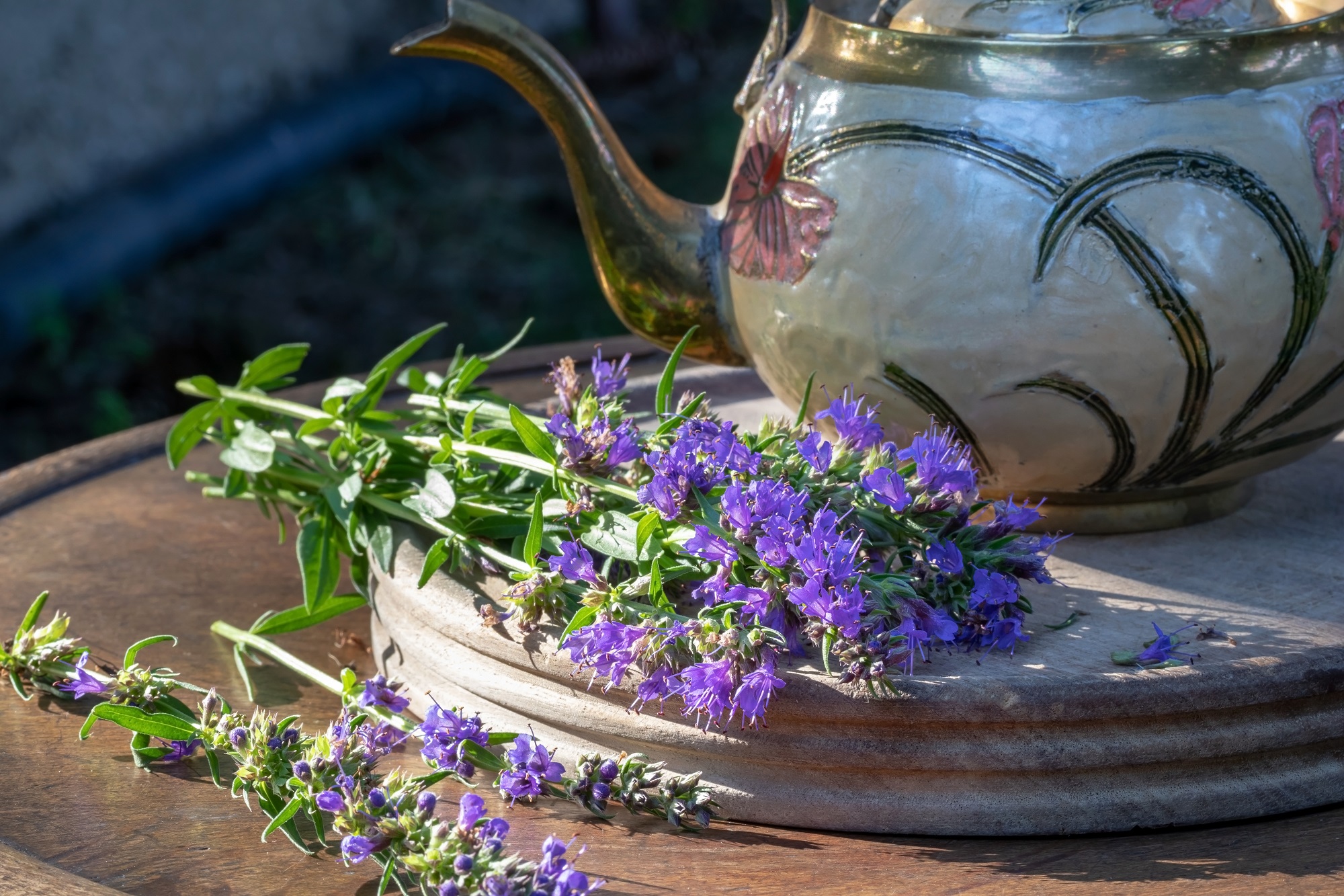 Ysopkraut von Mynatura – Aromatisches Kraut für Tee, Küche & Bad | Natürlich & nachhaltig 100g Ysopkraut von Mynatura – Aromatisches Kraut für Tee, Küche & Bad | Natürlich & nachhaltig 100g