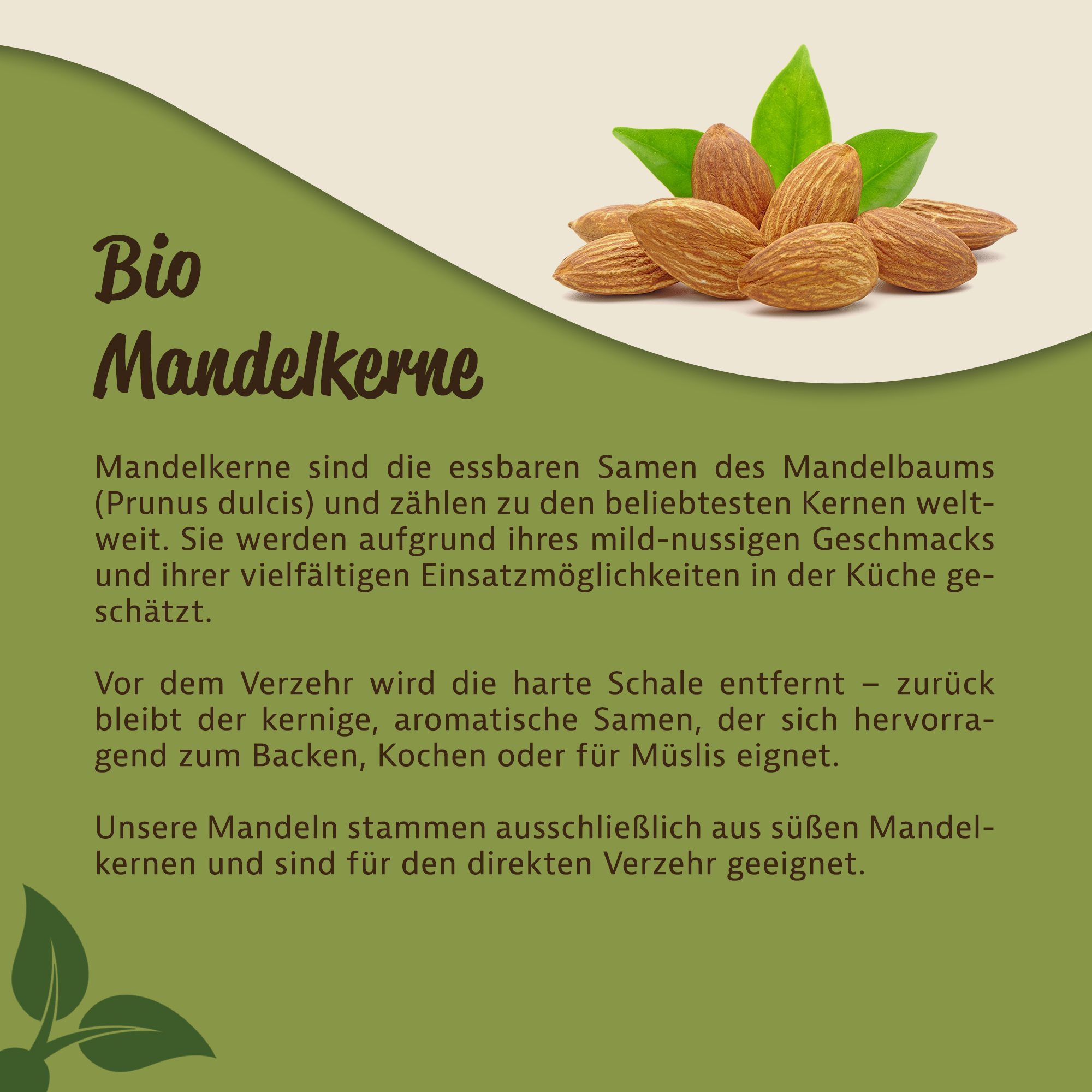 Mynatura Bio Mandeln, unbehandelt 1Kg