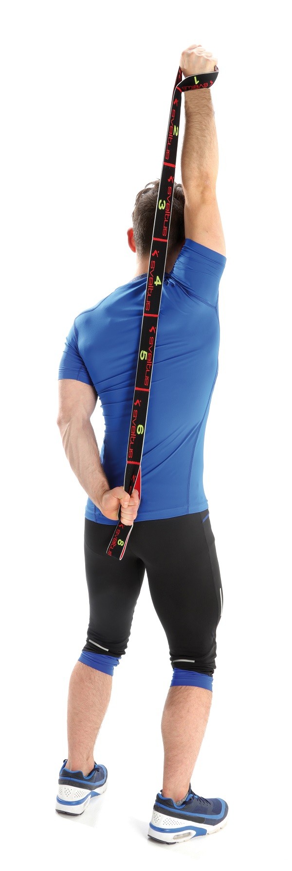 Sveltus Elasitband 3er Kombi (10kg, 15kg, 20kg) Sveltus Elasitband 3er Kombi (10kg, 15kg, 20kg)