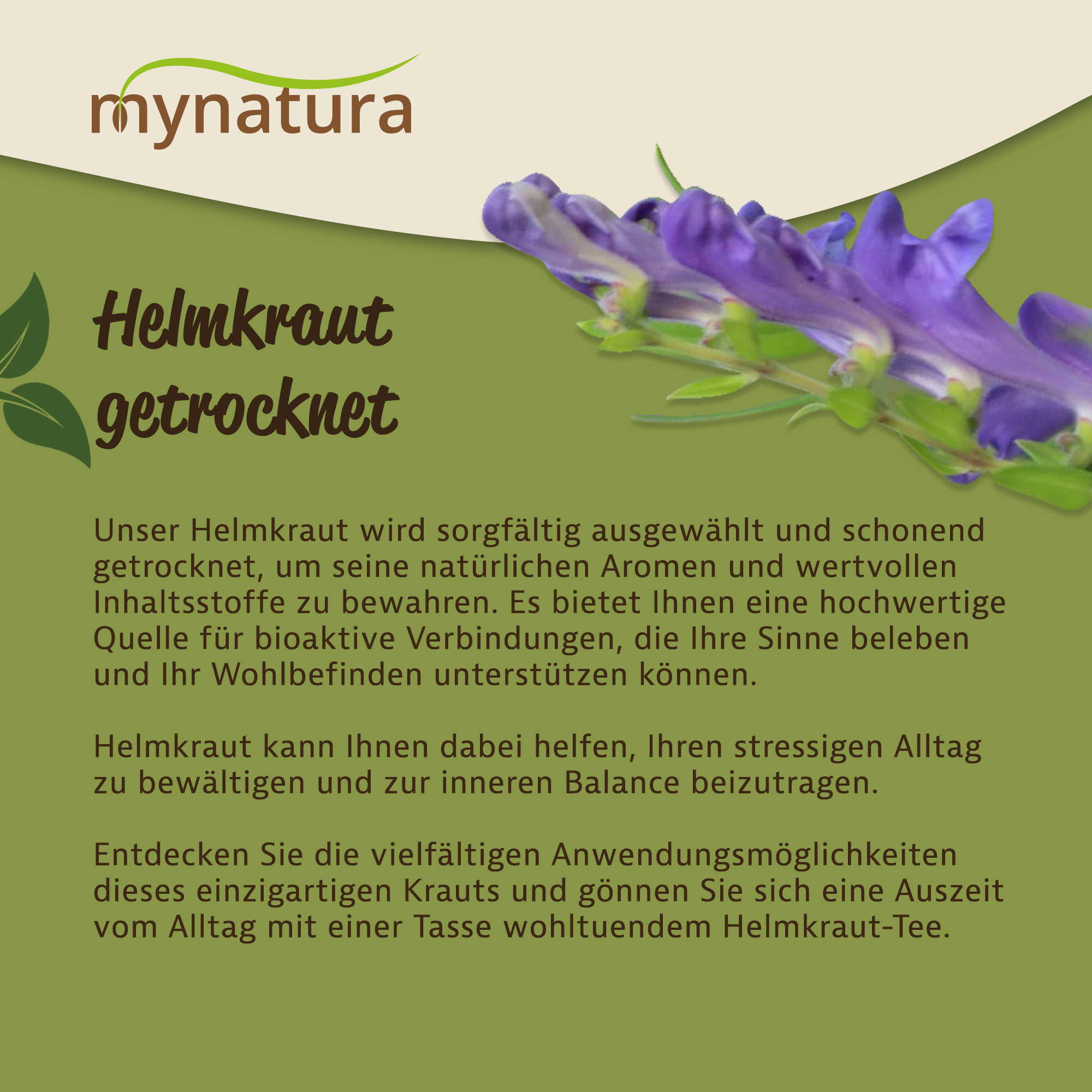 Helmkraut getrocknet & geschnitten – Kräuterqualität von mynatura | Bio, aromatisch & vielseitig 100g