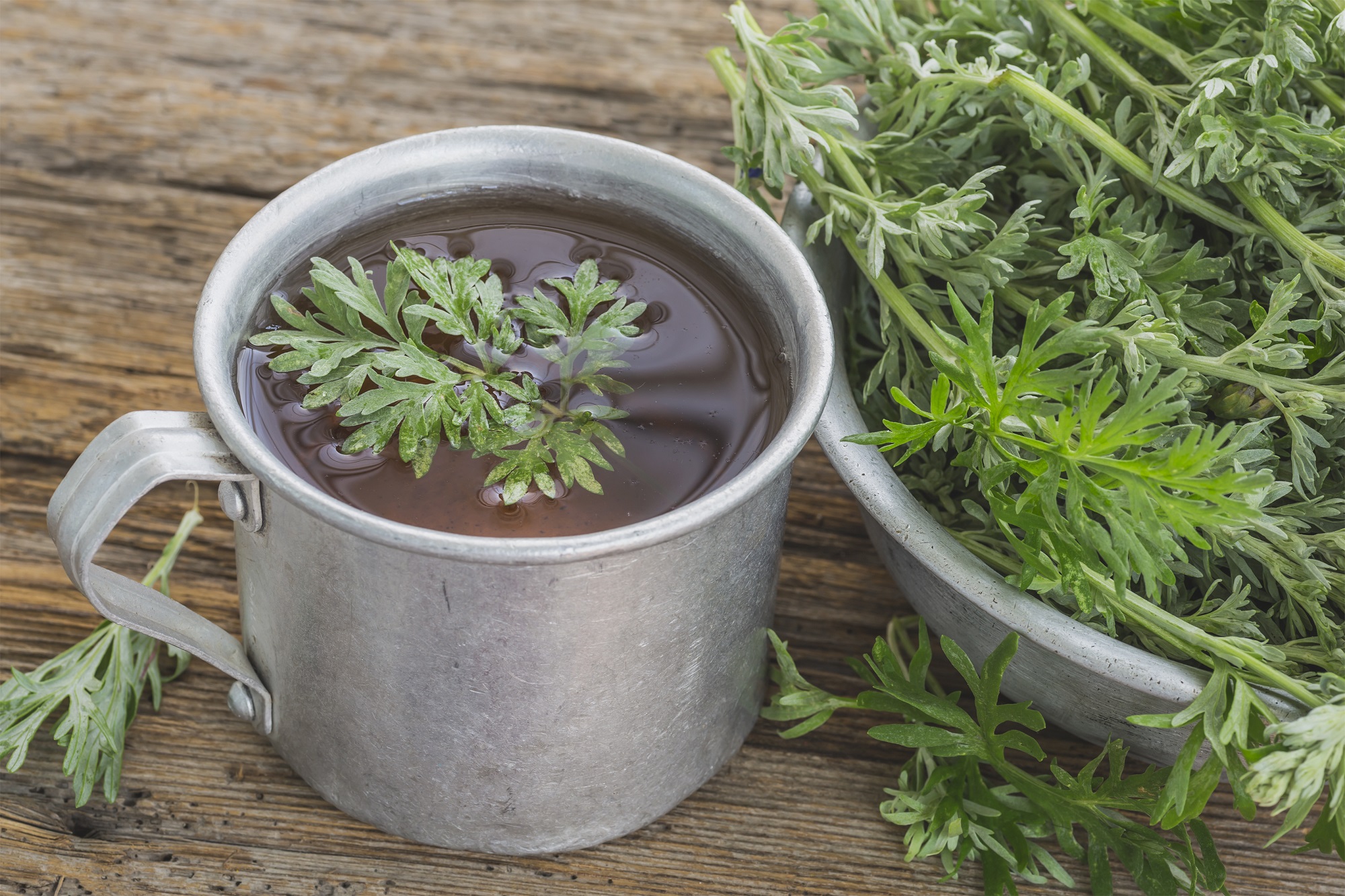 Tasty Pott Bio Wermutkraut getrocknet und geschnitten 500g Beutel Tasty Pott Bio Wermutkraut getrocknet und geschnitten 500g Beutel