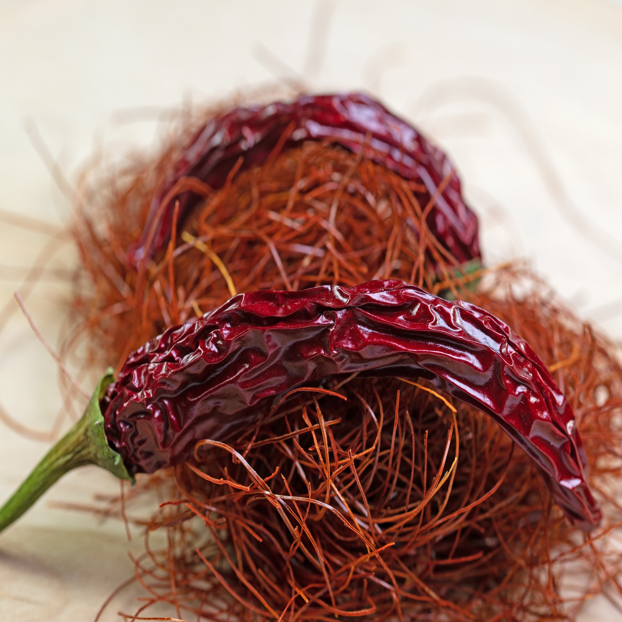 Tasty Pott Chili Fäden fein 10g Dose