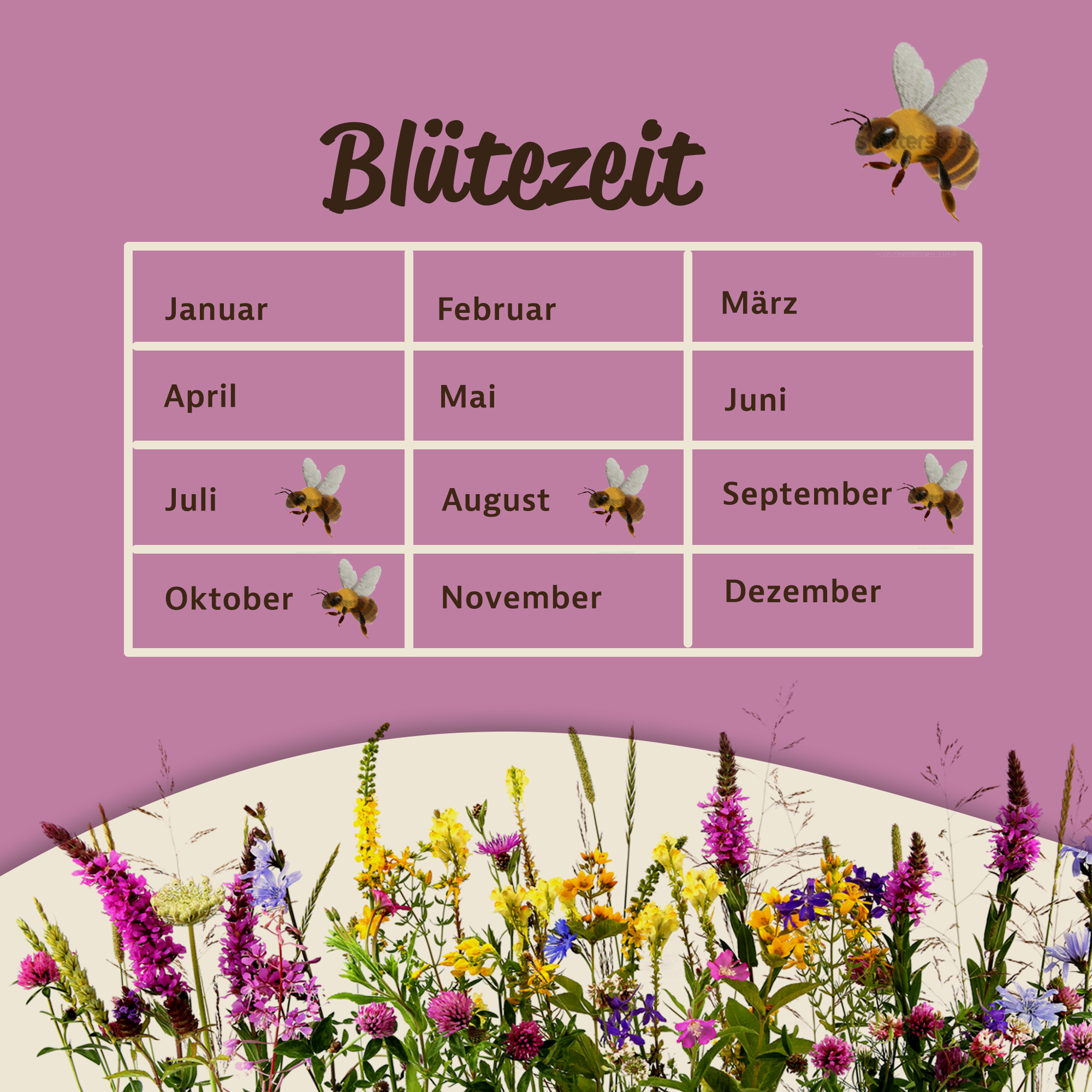 Mynatura Bienenweide für den Halbschatten und Schattenbereich 50g Mynatura Bienenweide für den Halbschatten und Schattenbereich 50g