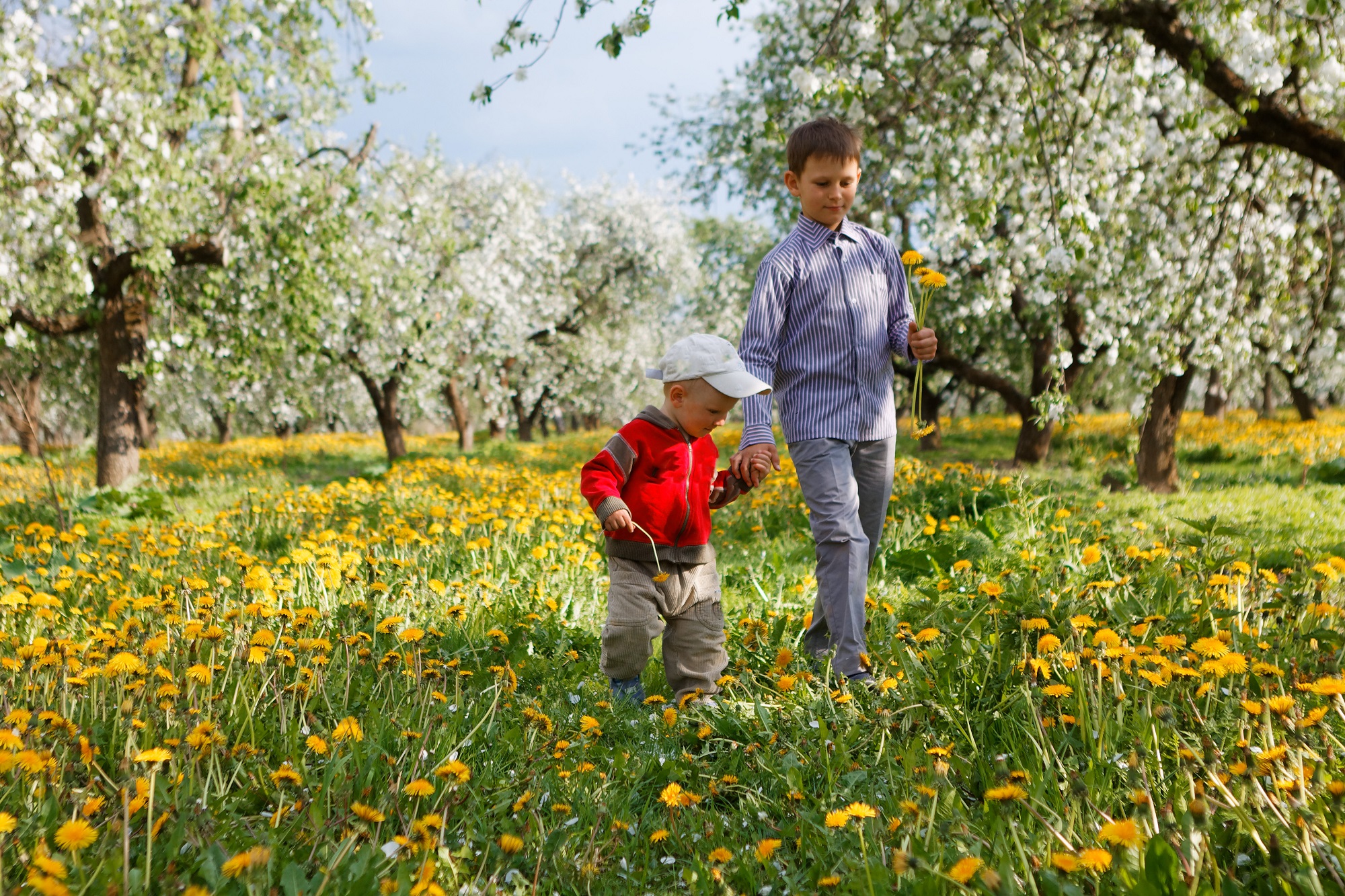 Mynatura Bunte Streuobstwiese 200g Mynatura Bunte Streuobstwiese 200g