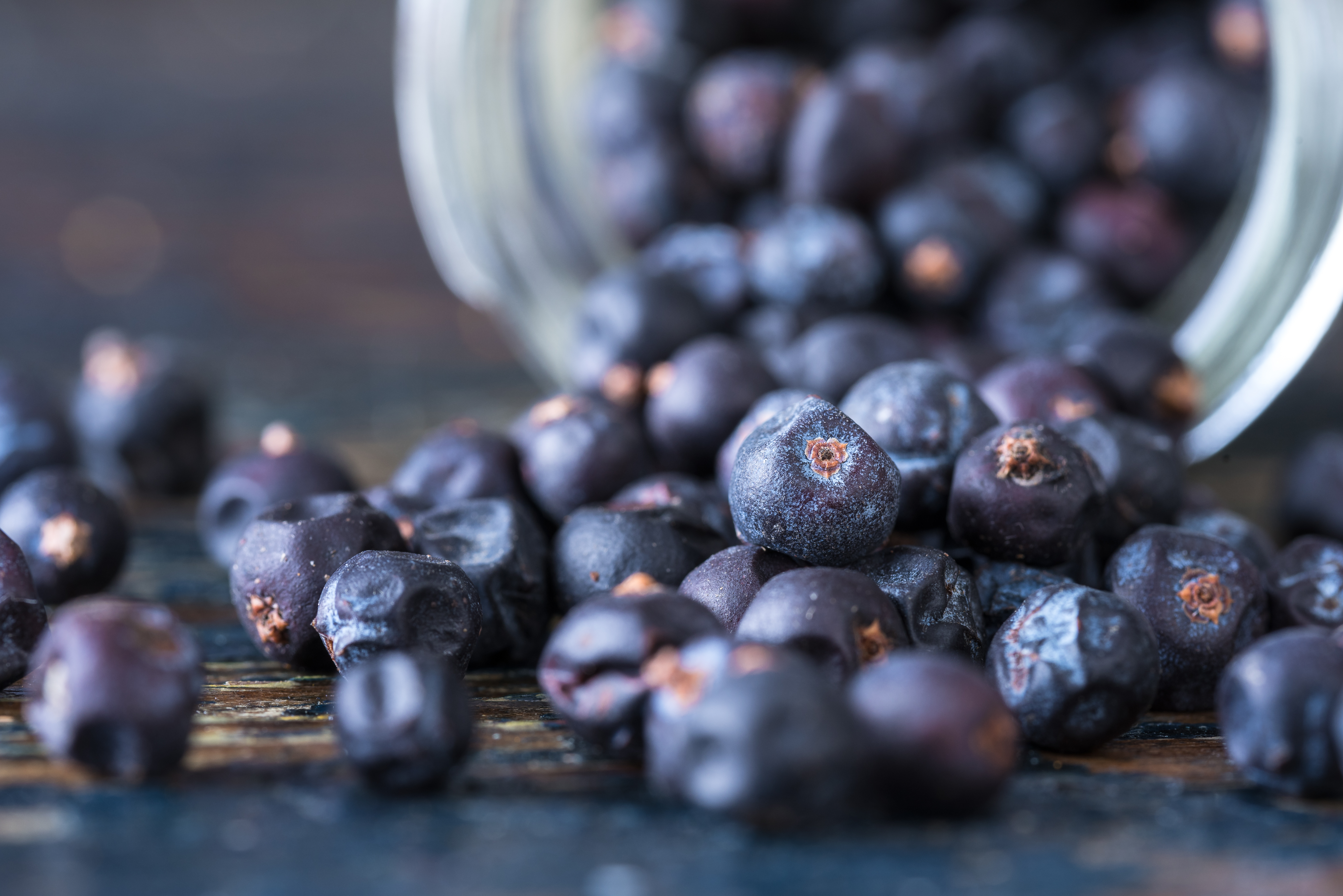 Tasty Pott Bio Wacholderbeeren - ganz - 50g