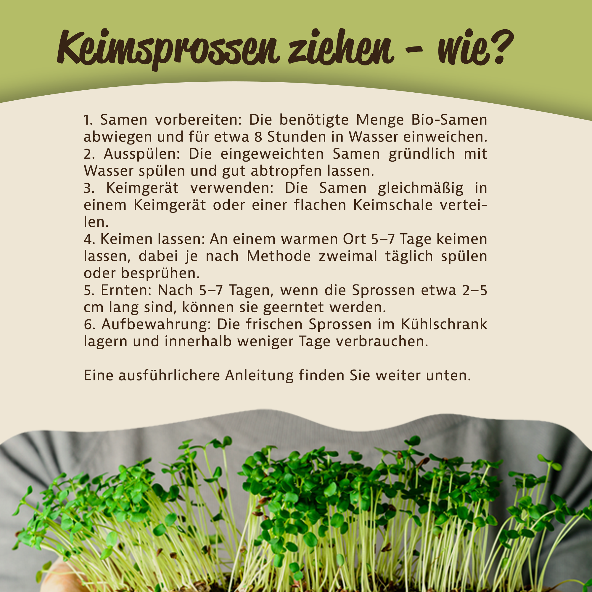Mynatura Bio Daikon-Rettich Keimsprossen Gemüse (500g)