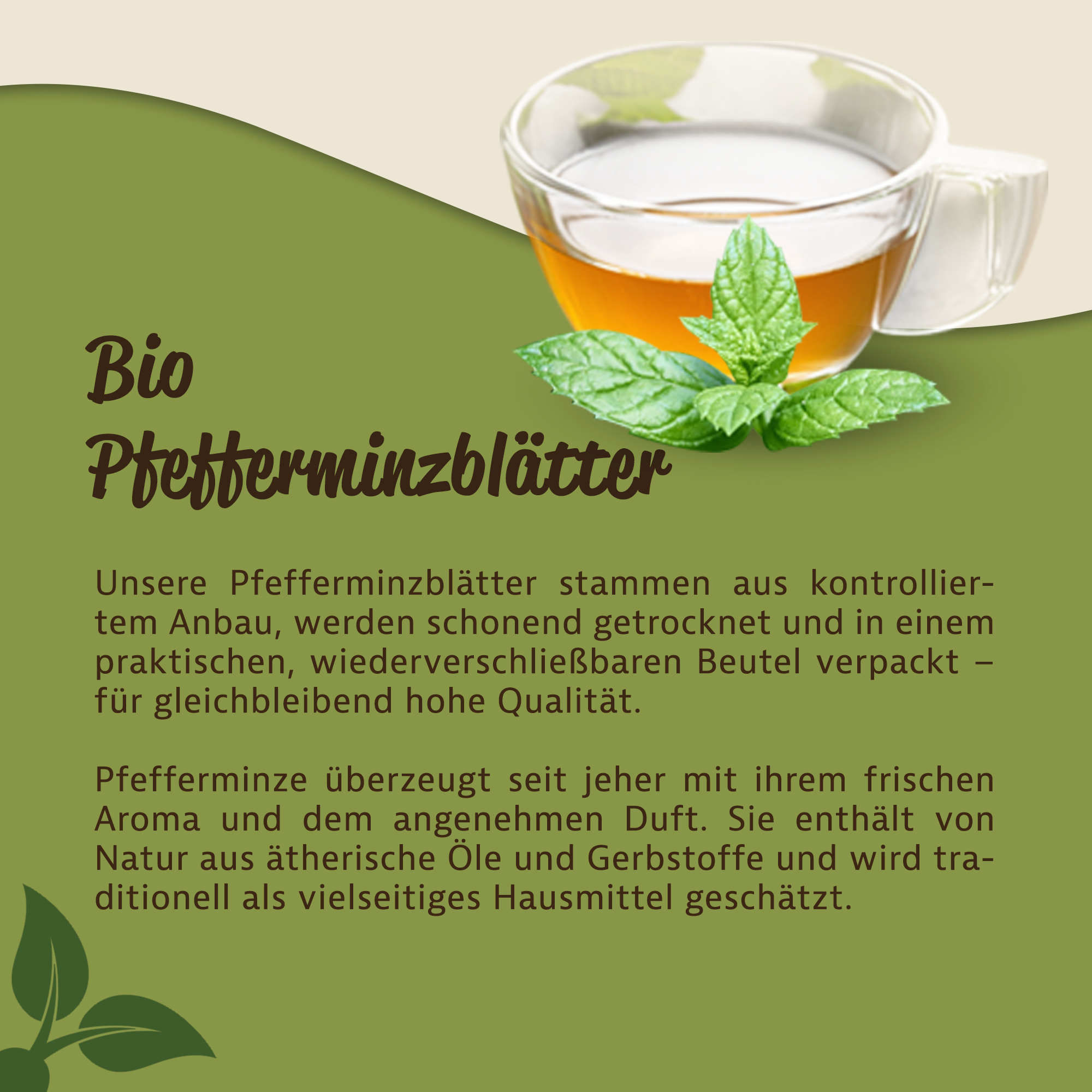 Bio Pfefferminzblätter getrocknet 0,1Kg – intensives Minzaroma für Tee & Küche | Mynatura