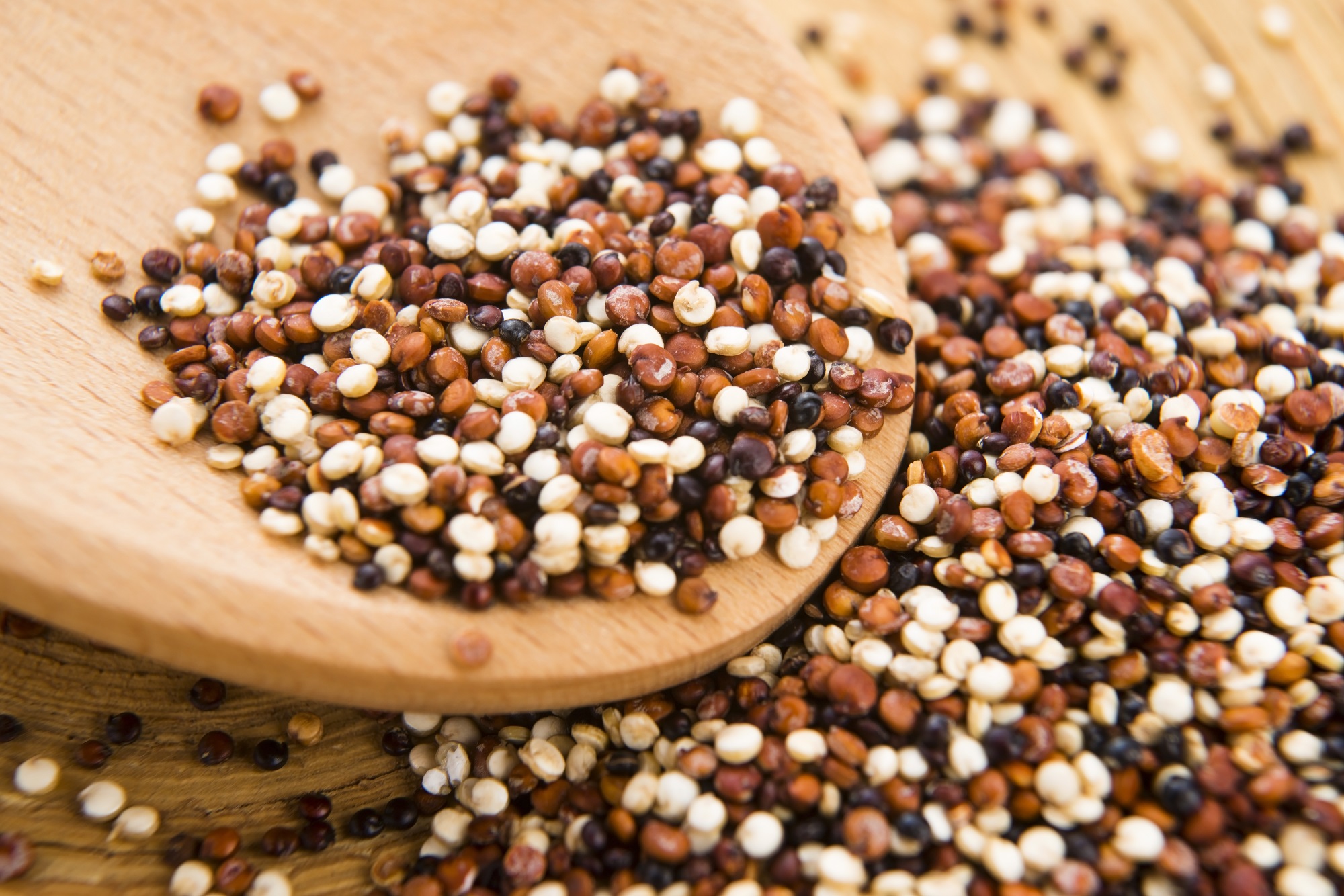 Bio Quinoa Tricolore von Mynatura – Farbige Quinoa-Mischung aus weißem, rotem und schwarzem Quinoa | Vegan & vielseitig für die moderne Küche 500g Bio Quinoa Tricolore von Mynatura – Farbige Quinoa-Mischung aus weißem, rotem und schwarzem Quinoa | Vegan & vielseitig für die moderne Küche 500g