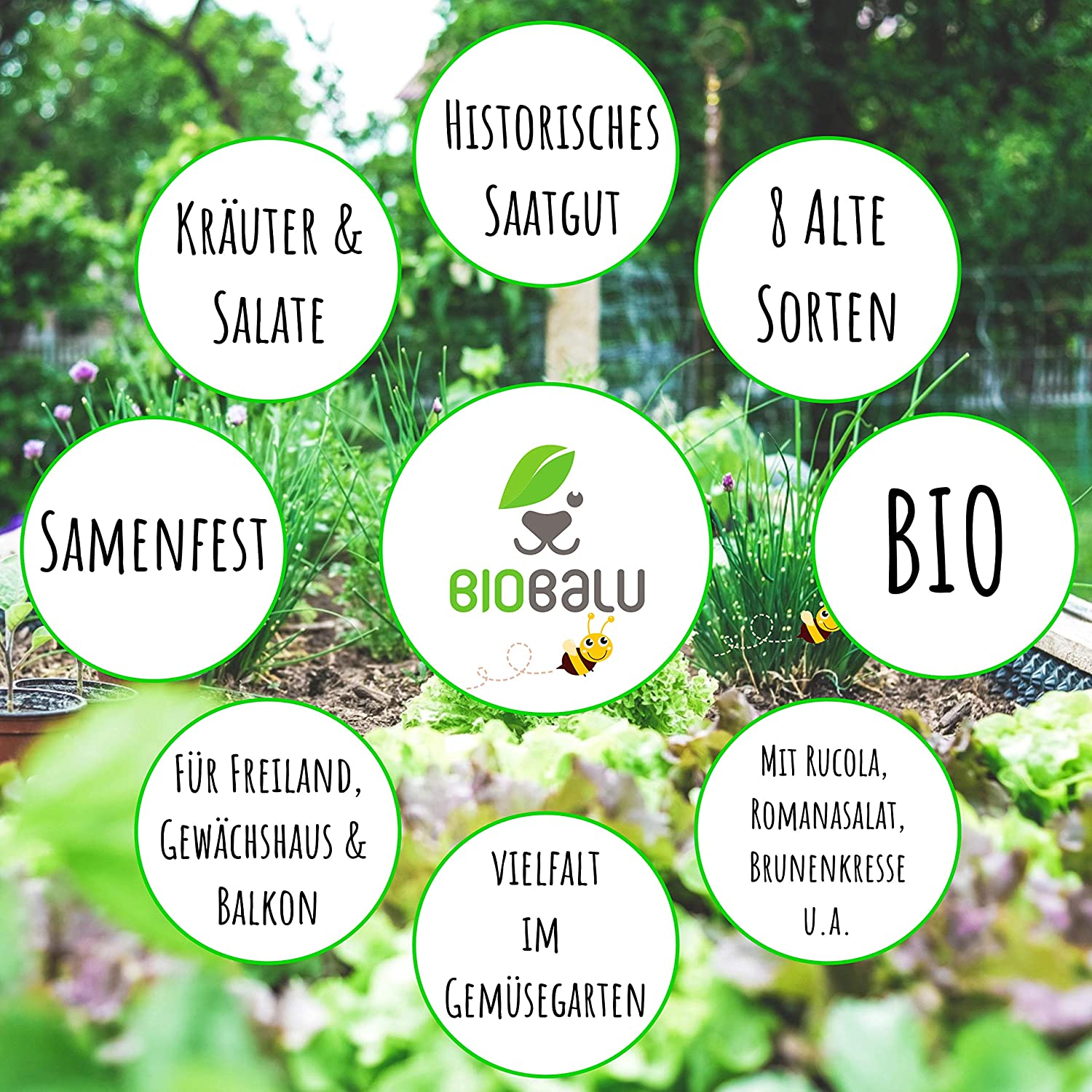 Biobalu Kräuter & Salat Samen Bio - 8 Alte Sorten Geschenkset Biobalu Kräuter & Salat Samen Bio - 8 Alte Sorten Geschenkset