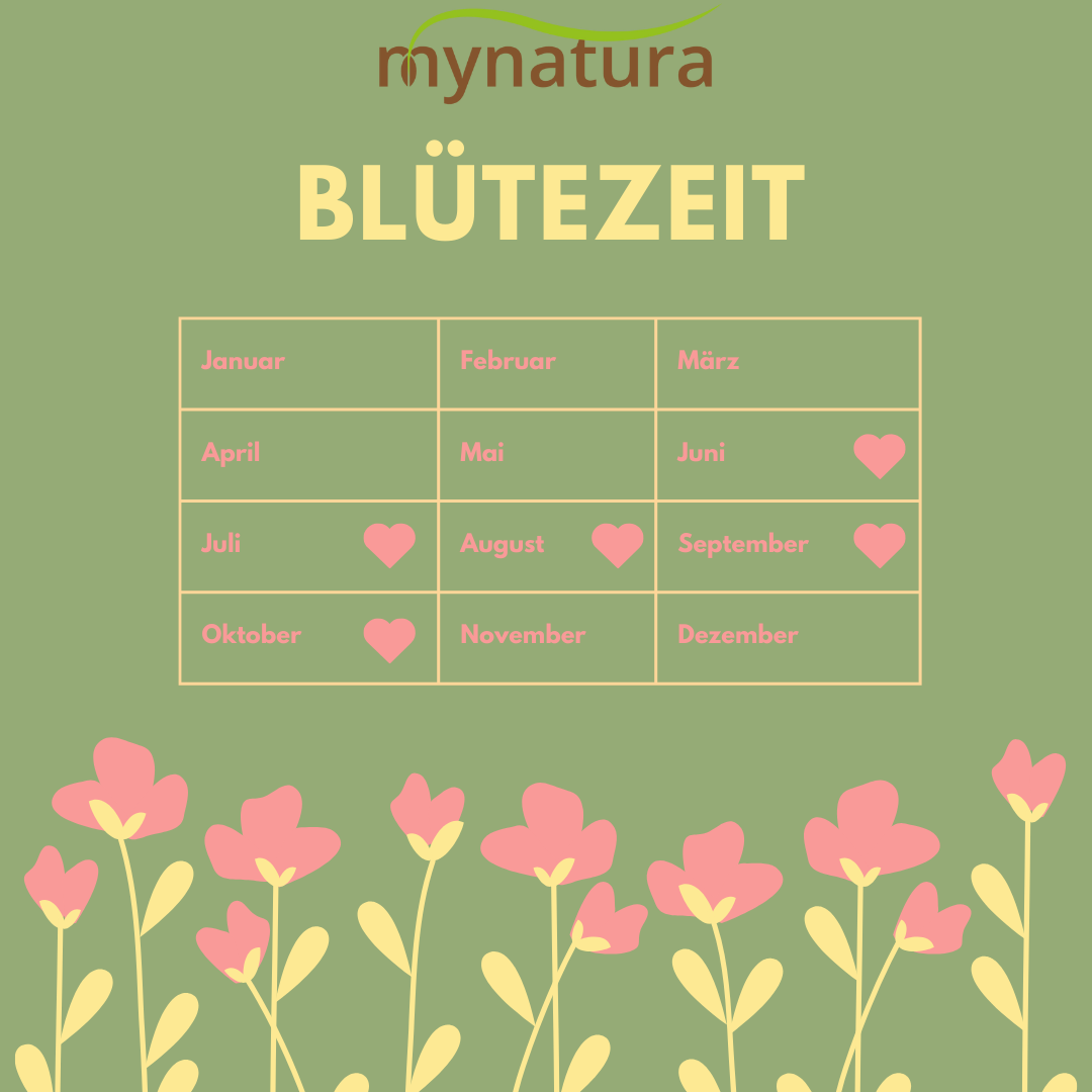 Mynatura Saatgutmischung Sonnenschein Ringelblumen Pflanzensamen 3x20g