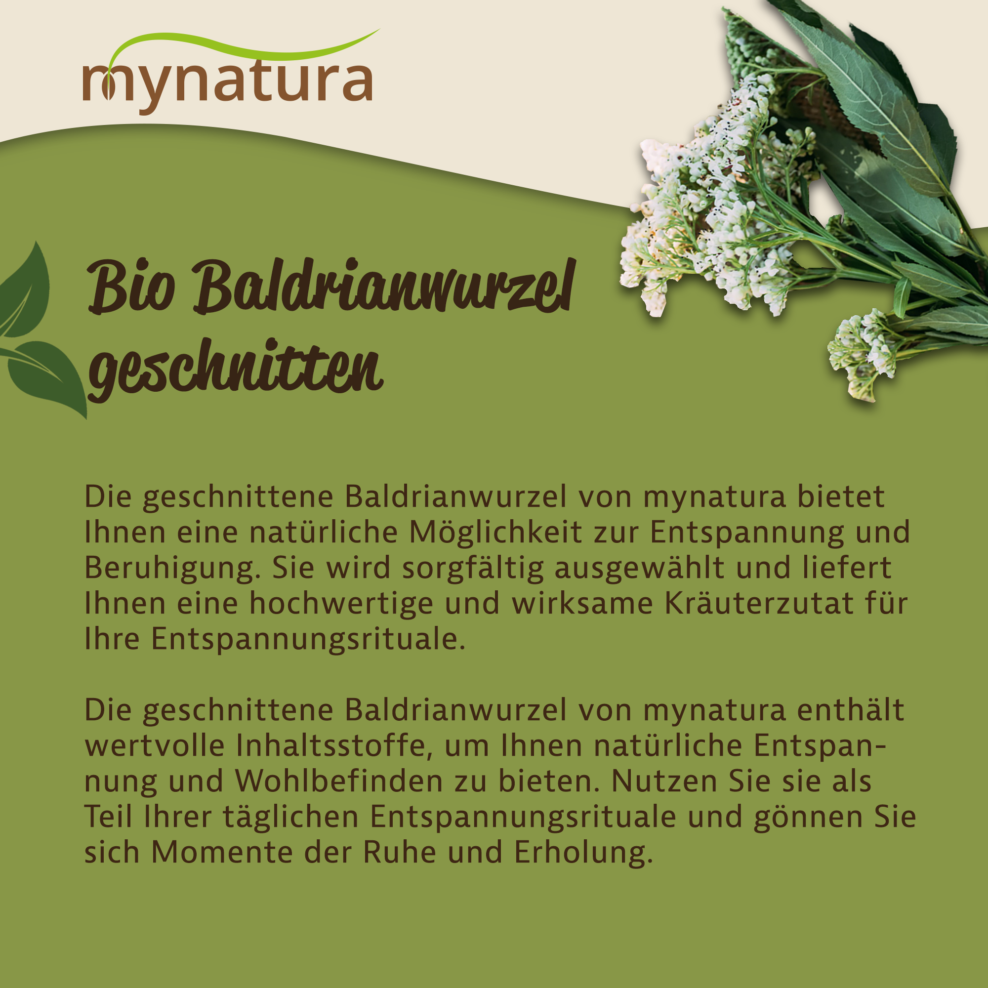 Bio Baldrianwurzel geschnitten von Mynatura | Naturprodukt für Tee & kreative Anwendungen 100g Bio Baldrianwurzel geschnitten von Mynatura | Naturprodukt für Tee & kreative Anwendungen 100g