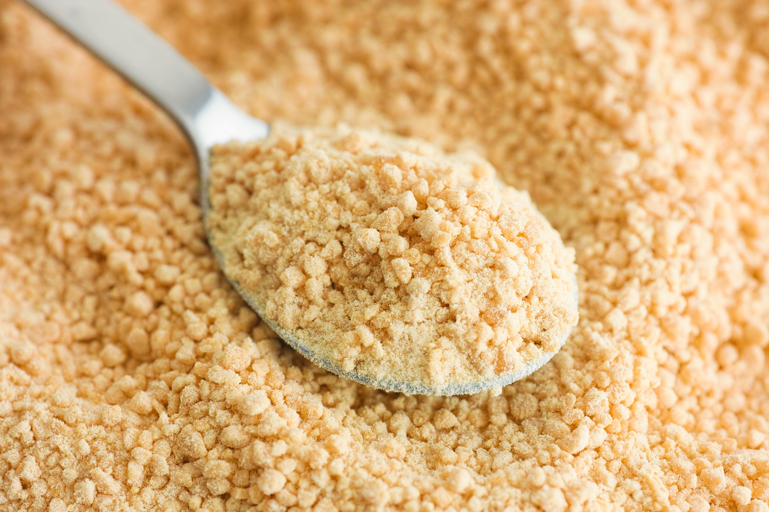 Tasty Pott Bio Sojagranulat 1000g Beutel