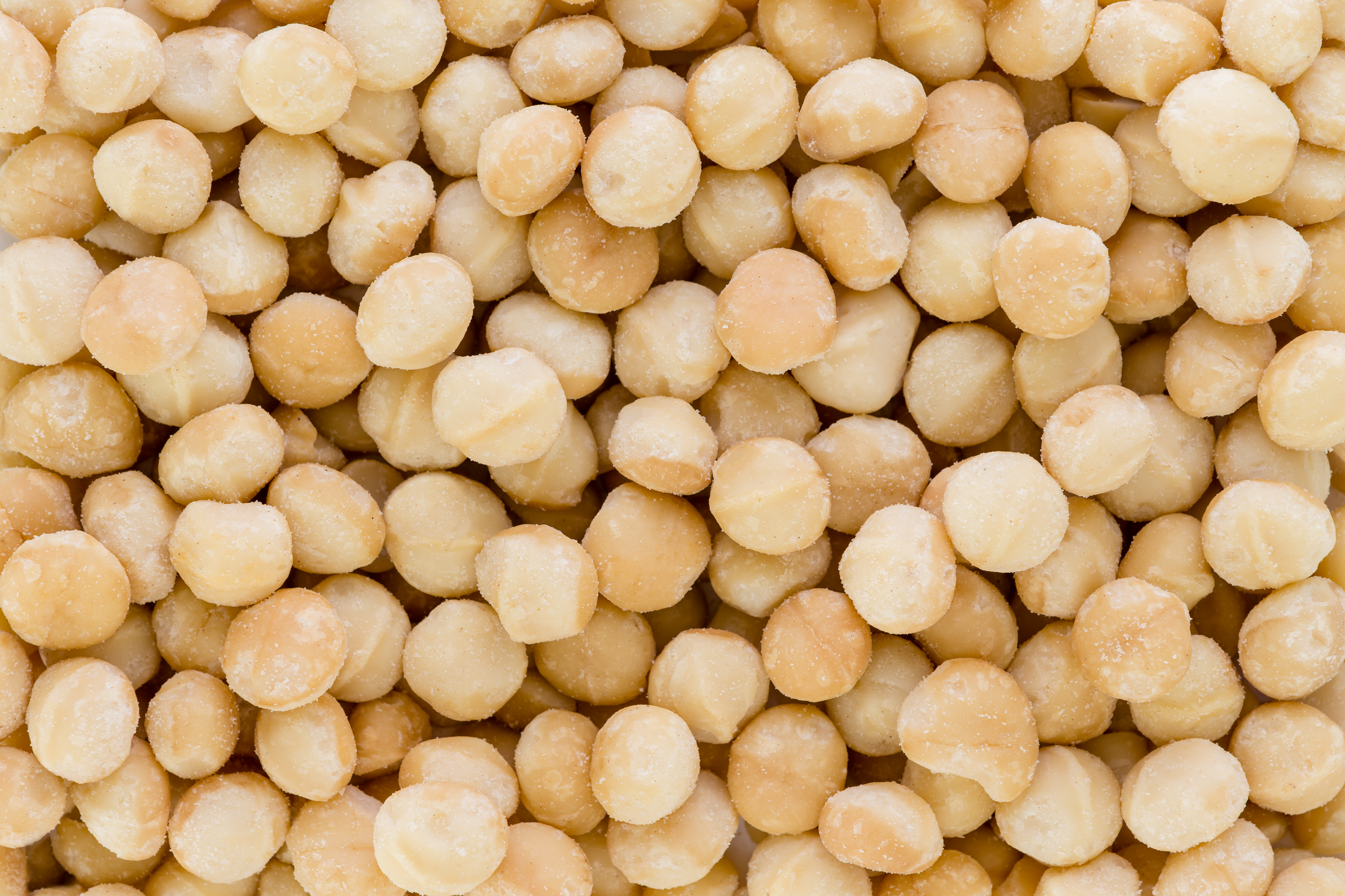 Mynatura Macadamia Nüsse 500g