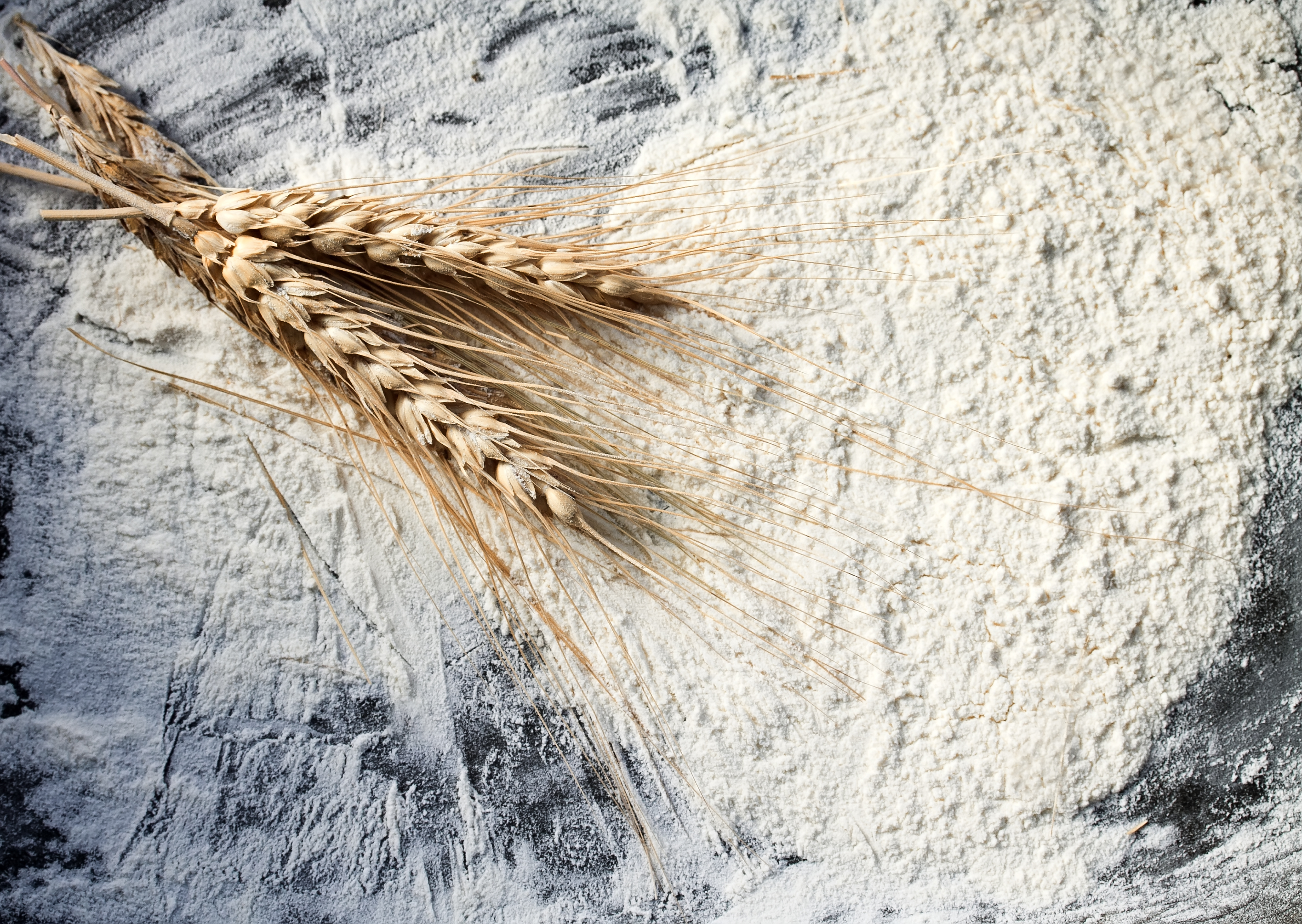 Weizengluten (Seitan) von mynatura – pflanzliches Protein & veganer Fleischersatz in Bioqualität 1kg Weizengluten (Seitan) von mynatura – pflanzliches Protein & veganer Fleischersatz in Bioqualität 1kg
