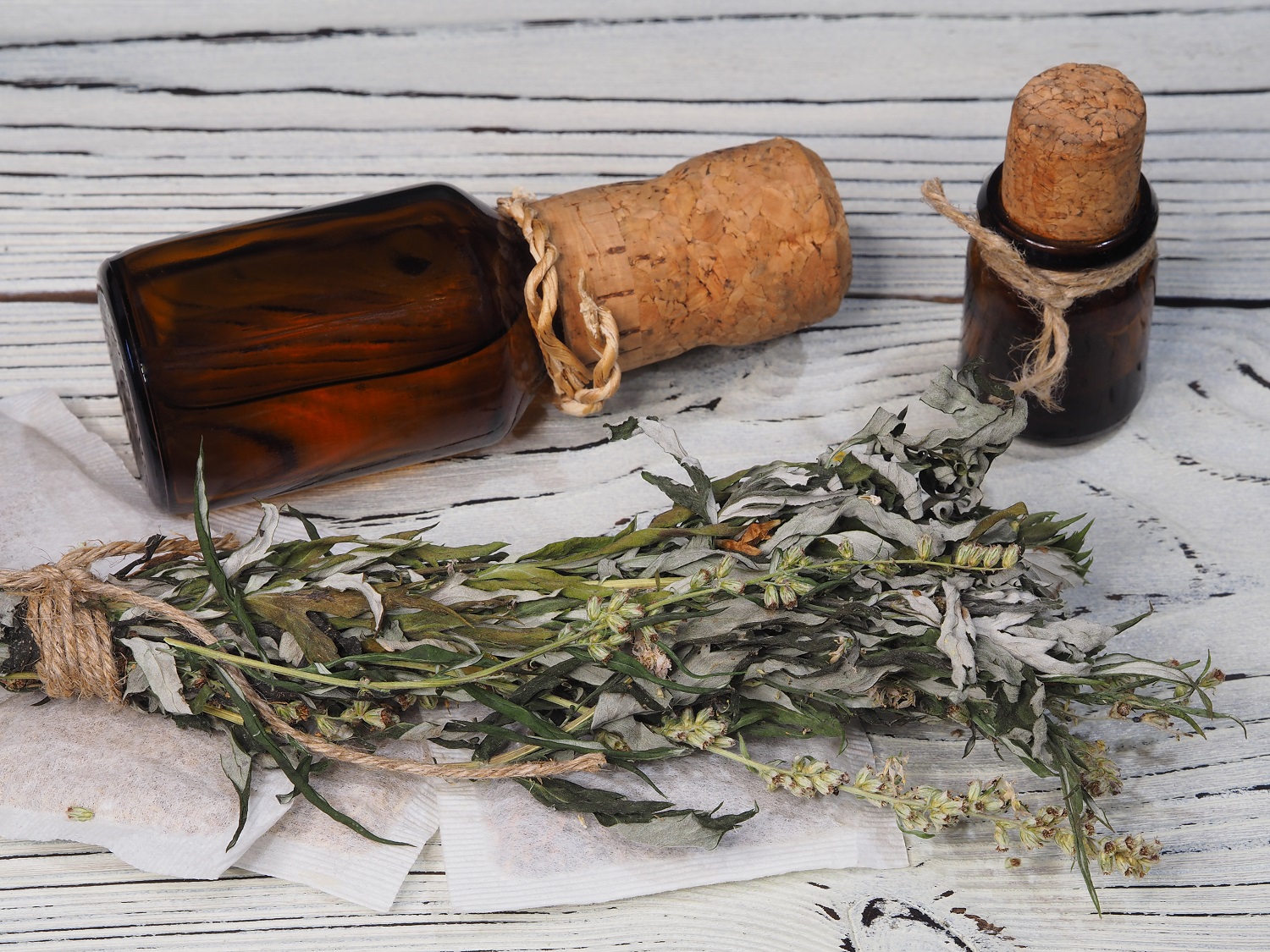 Tasty Pott Bio Wermutkraut getrocknet und geschnitten 500g Beutel Tasty Pott Bio Wermutkraut getrocknet und geschnitten 500g Beutel