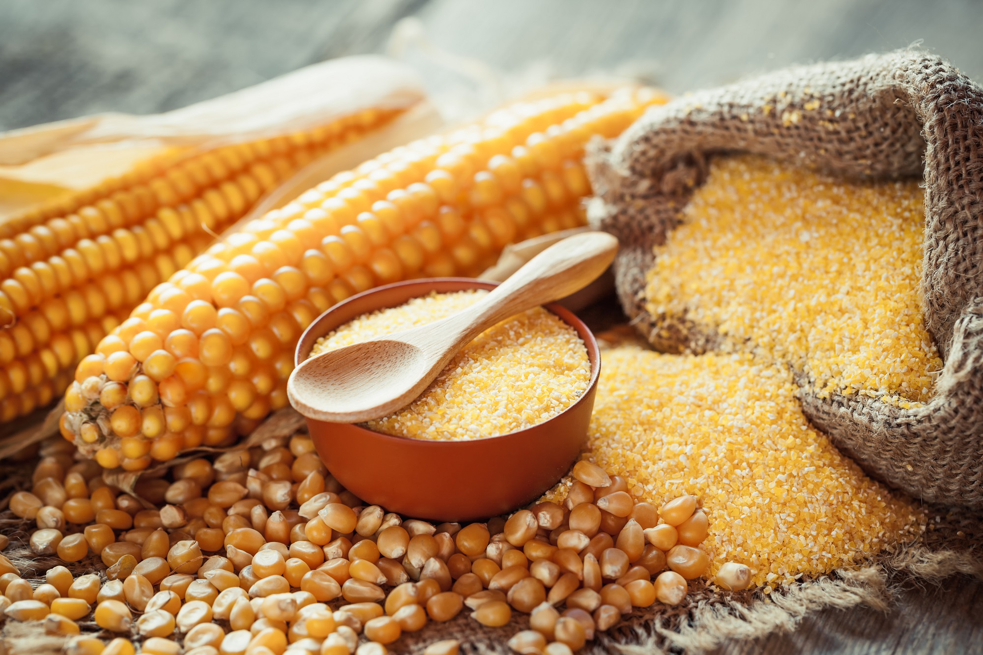 Tasty Pott Bio Maisgrieß (Polenta) – glutenfreie Beilage & vielseitige Kochzutat aus Mais 1000g Tasty Pott Bio Maisgrieß (Polenta) – glutenfreie Beilage & vielseitige Kochzutat aus Mais 1000g