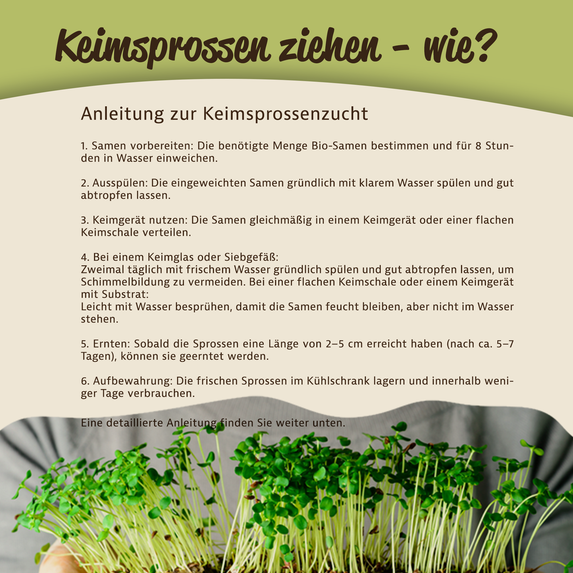 Mynatura Bio Keimsprossen Brokkoli Gemüse (500g)