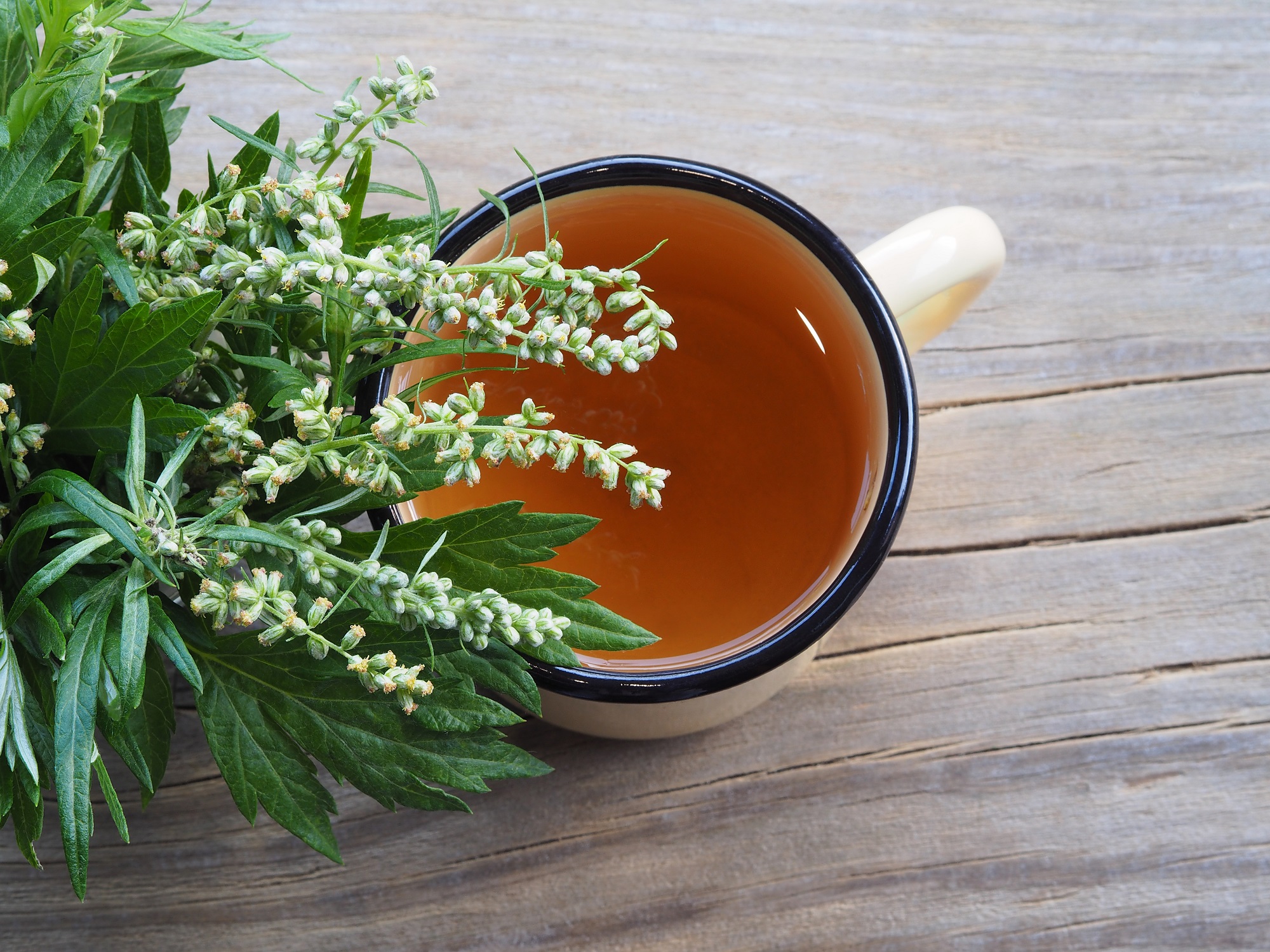 Beifußkraut kaufen – Aromatisches Gewürz für Geflügel & deftige Gerichte | Mynatura 250g