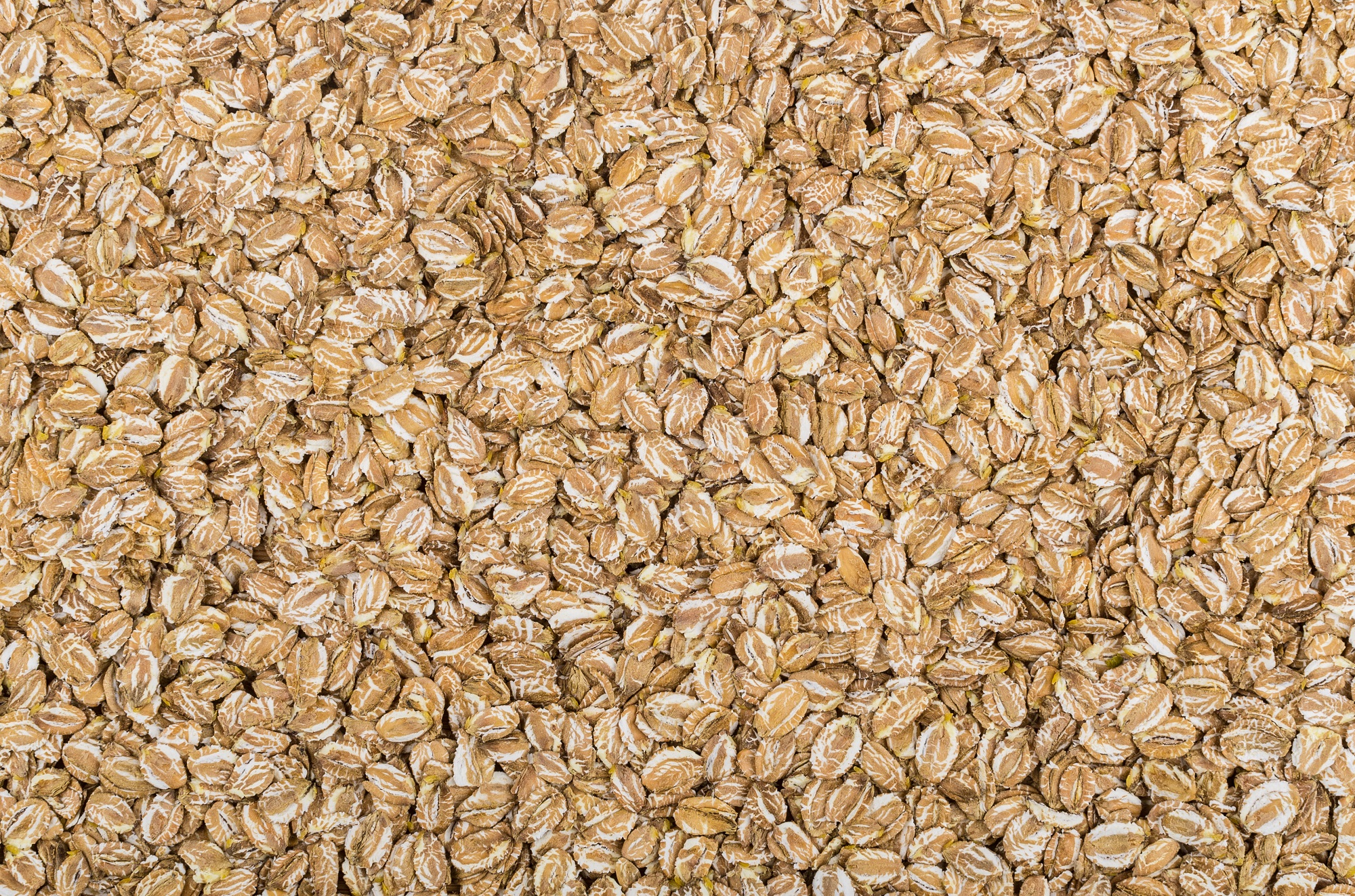 Tasty Pott Bio-Roggenflocken – Natürlich, vielseitig & ohne Zusätze 500g | Roggenflocken kaufen  Tasty Pott Bio-Roggenflocken – Natürlich, vielseitig & ohne Zusätze 500g | Roggenflocken kaufen