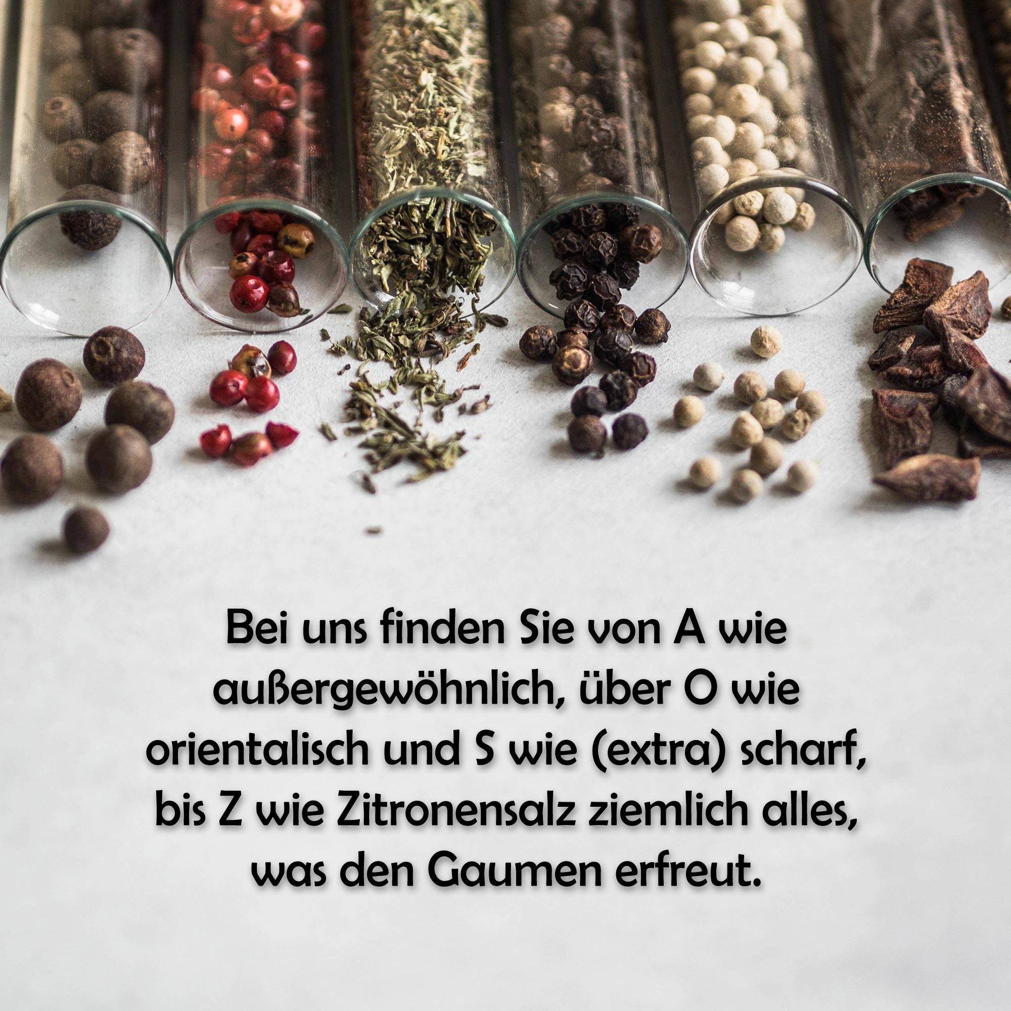 Bio Omas Schnitzel Würze - Gewürzmischung - 100g Dose von Tasty Pott Bio Omas Schnitzel Würze - Gewürzmischung - 100g Dose von Tasty Pott