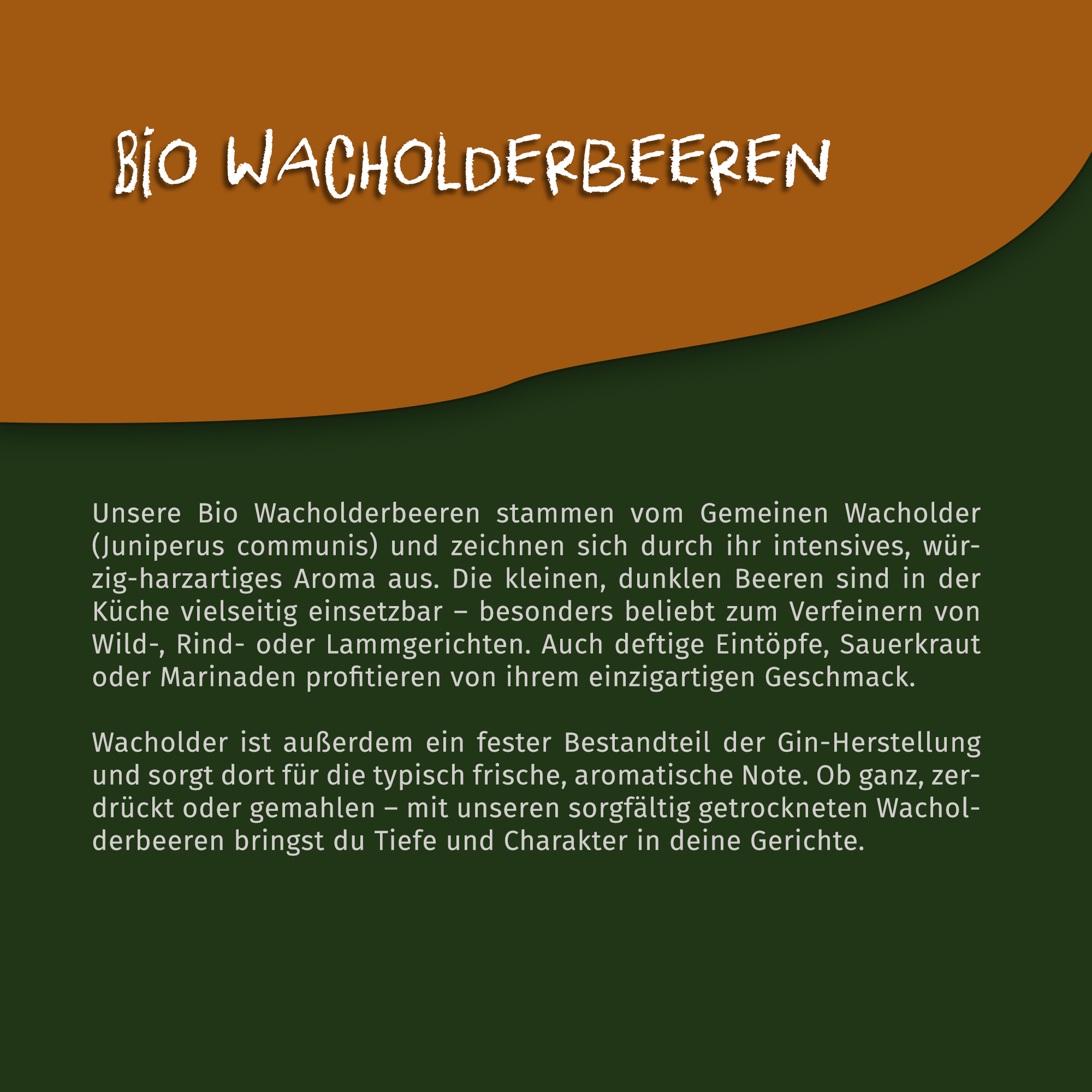 Tasty Pott Bio Wacholderbeeren - ganz - 50g