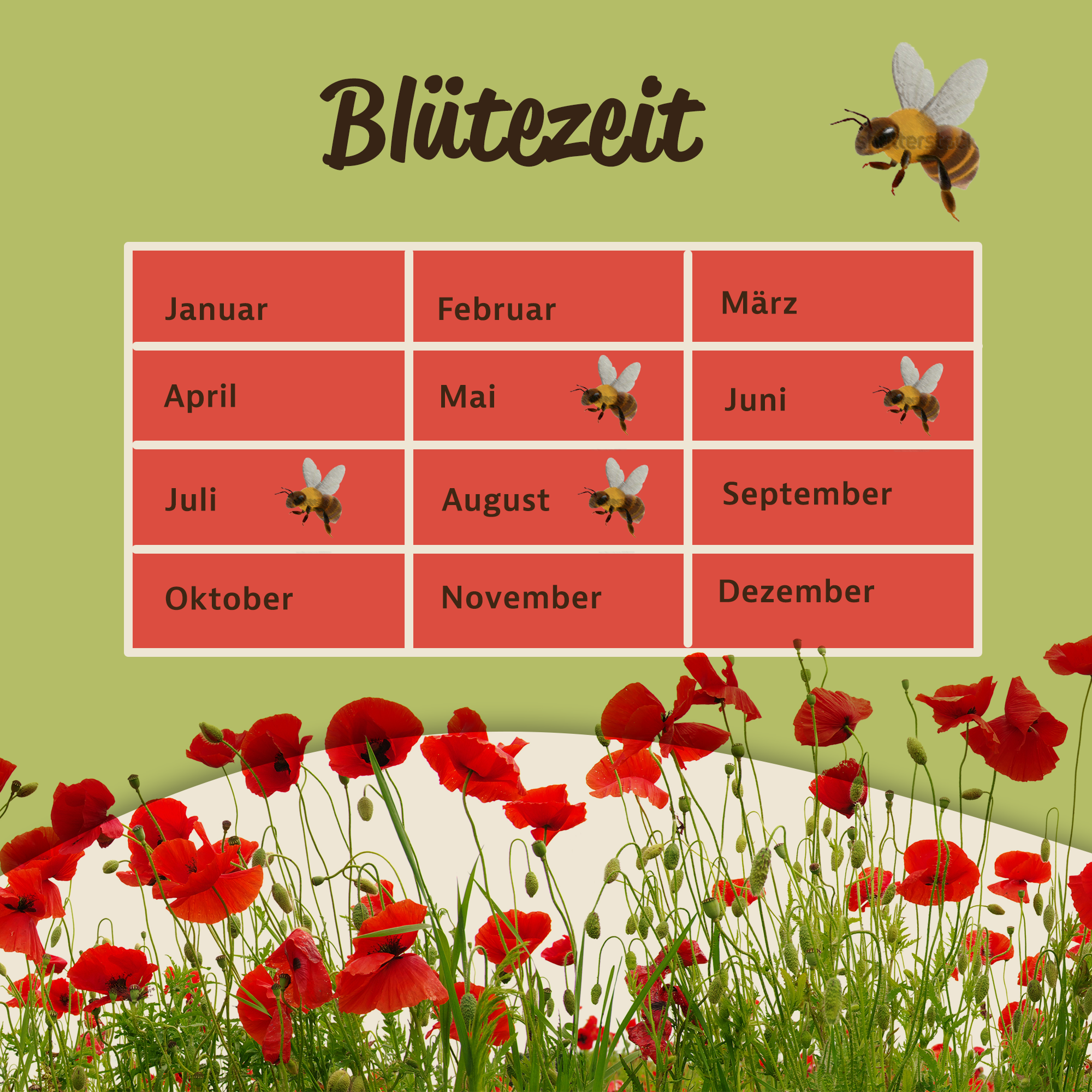 Mynatura Bio Mohnwiese Saatgutmischung (3g) Mynatura Bio Mohnwiese Saatgutmischung (3g)