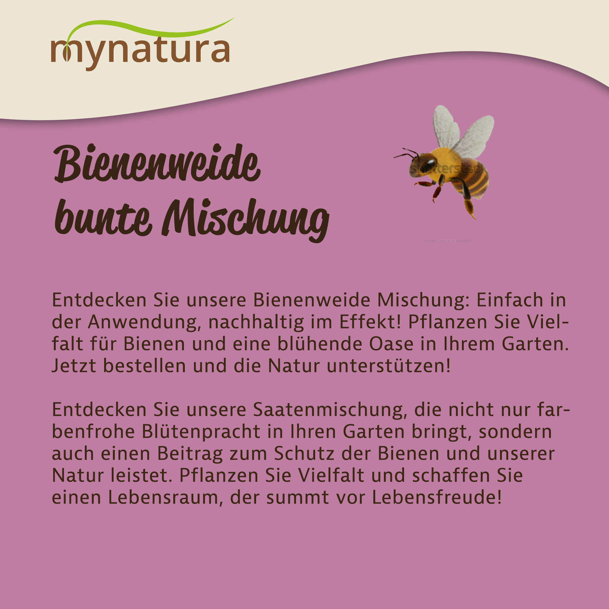 Mynatura Bienenweide für den Halbschatten und Schattenbereich 50g Mynatura Bienenweide für den Halbschatten und Schattenbereich 50g