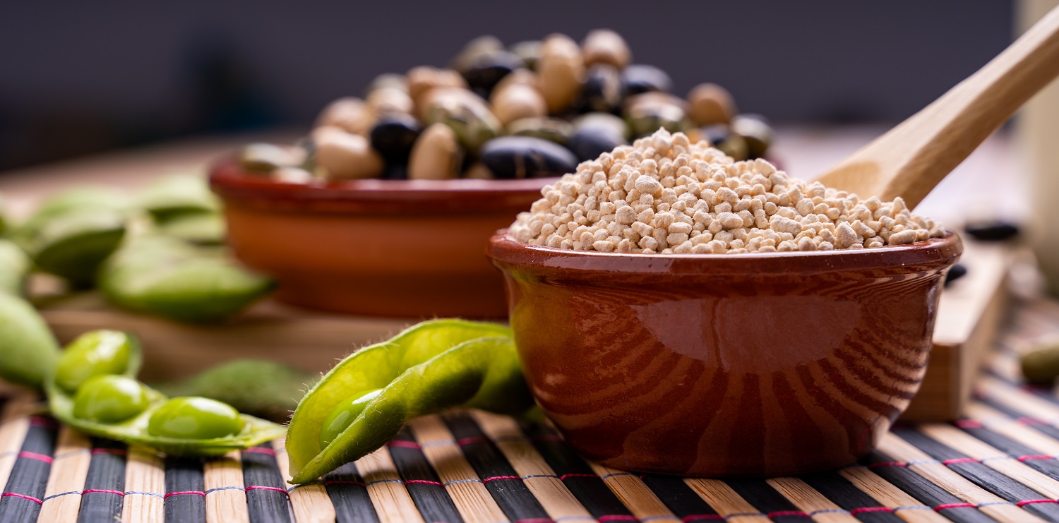 Tasty Pott Bio Sojagranulat 1000g Beutel