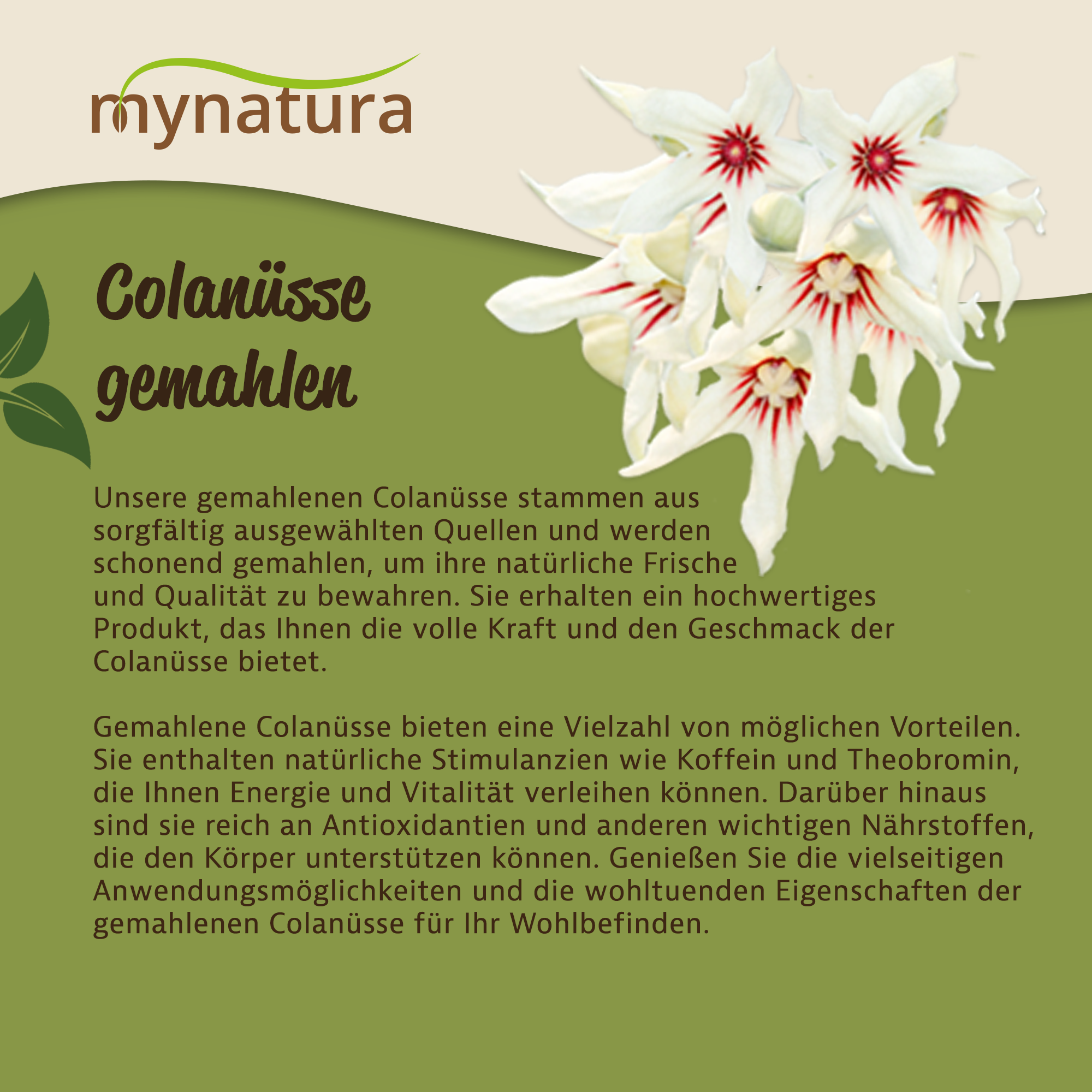 Mynatura Colanüsse - gemahlen 250g