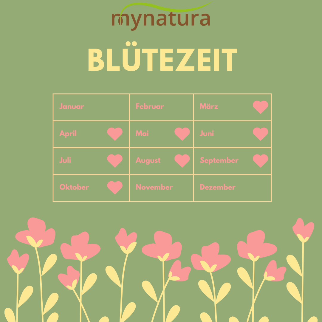 Mynatura Saatgutauswahl – Dachbegrünung (10g)