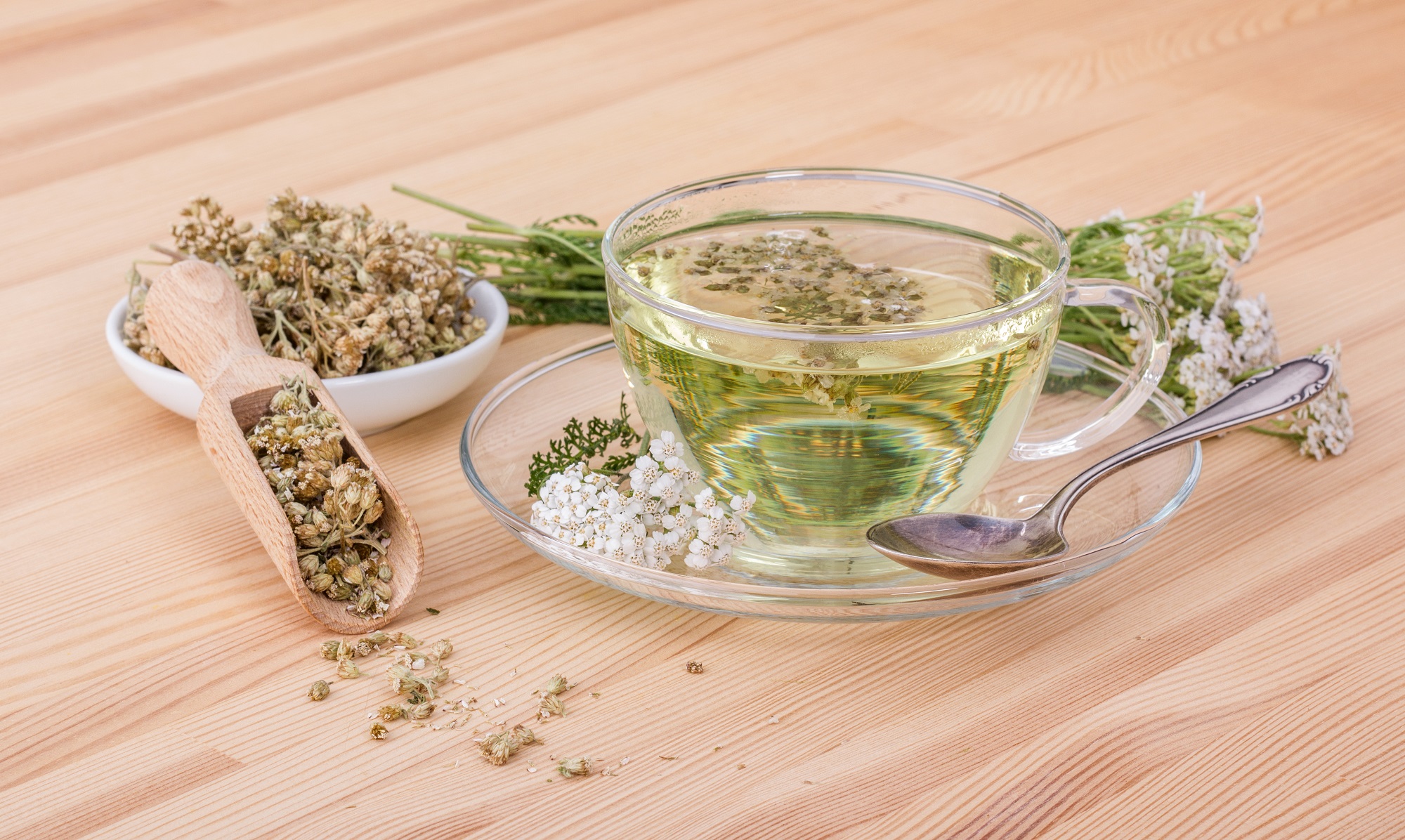 Schafgarbenkraut kaufen – Schonend getrocknete Bio-Schafgarbe für Tee & Naturprodukte | mynatura 100g Schafgarbenkraut kaufen – Schonend getrocknete Bio-Schafgarbe für Tee & Naturprodukte | mynatura 100g