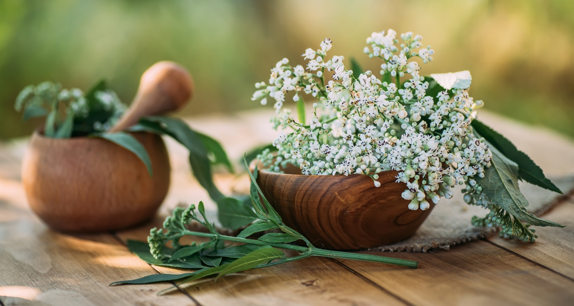Bio Baldrianwurzel geschnitten von Mynatura | Naturprodukt für Tee & kreative Anwendungen 100g Bio Baldrianwurzel geschnitten von Mynatura | Naturprodukt für Tee & kreative Anwendungen 100g