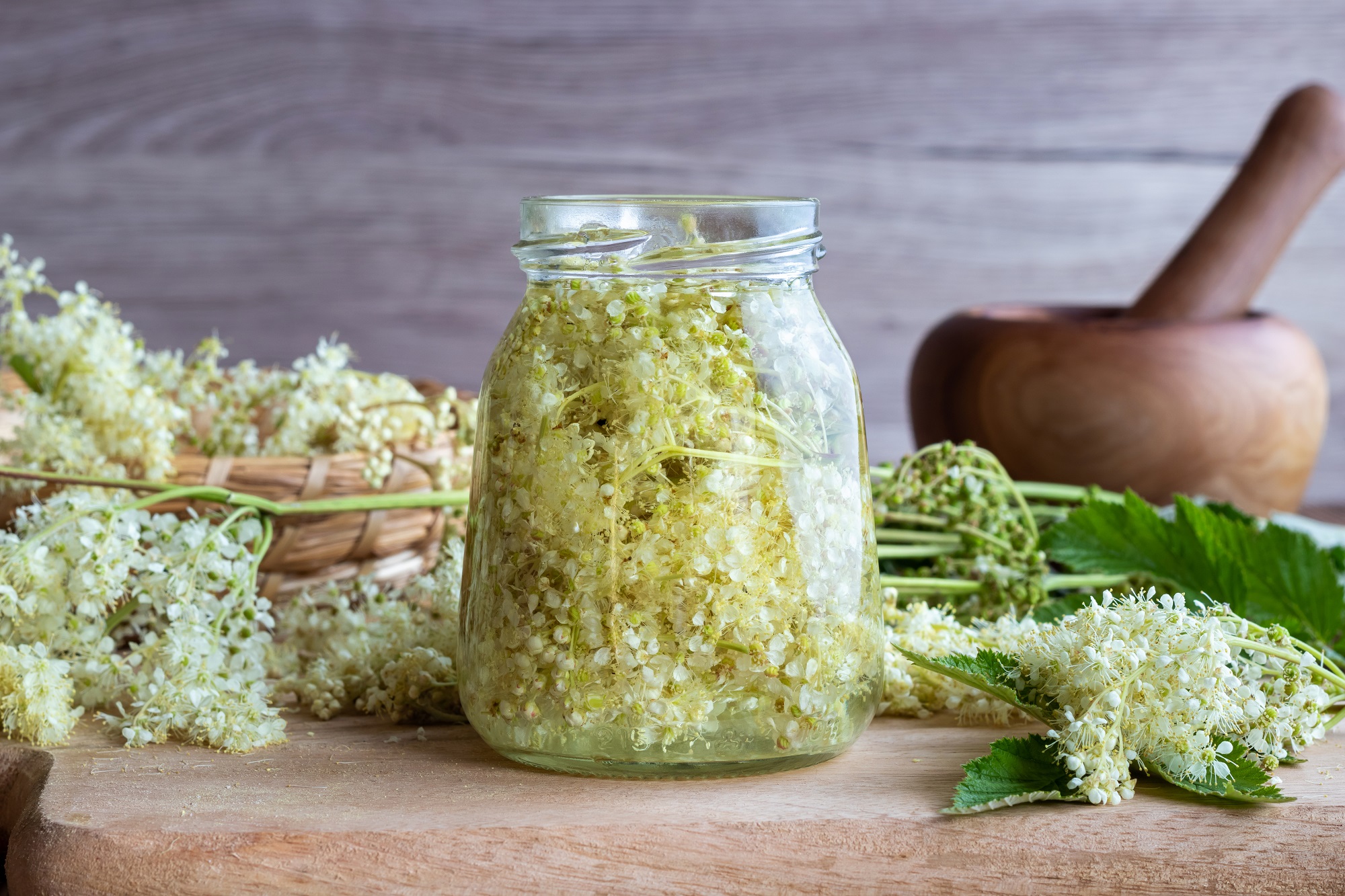 Bio Mädesüßkraut geschnitten – naturbelassenes Kräuterprodukt von mynatura 100g Bio Mädesüßkraut geschnitten – naturbelassenes Kräuterprodukt von mynatura 100g