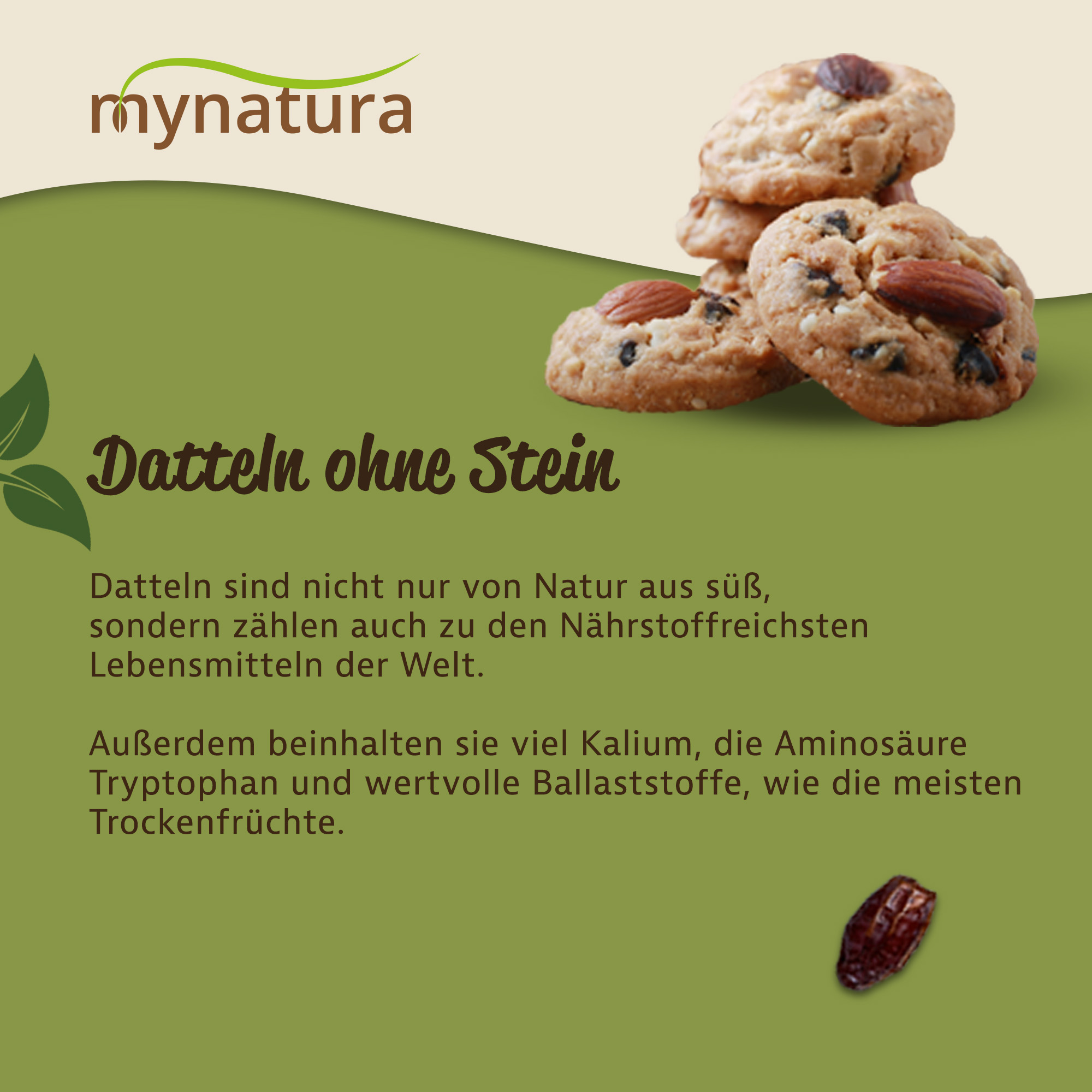 Mynatura Datteln ohne Stein - Deglet Nour 1Kg