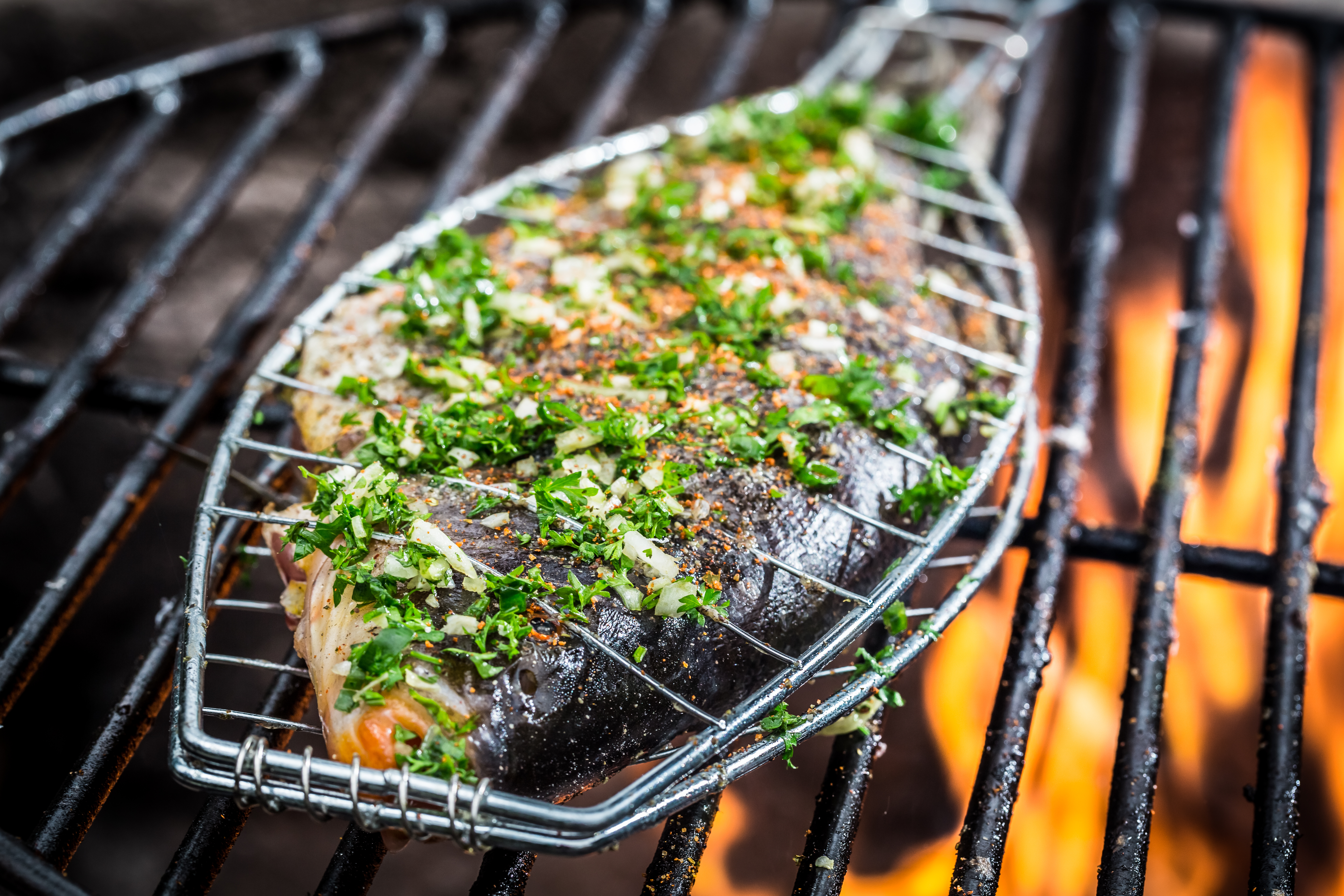 Fischgewürz - Gewürz für Fisch - Bio Gewürzmischung - 100g Dose Tasty Pott Fischgewürz - Gewürz für Fisch - Bio Gewürzmischung - 100g Dose Tasty Pott