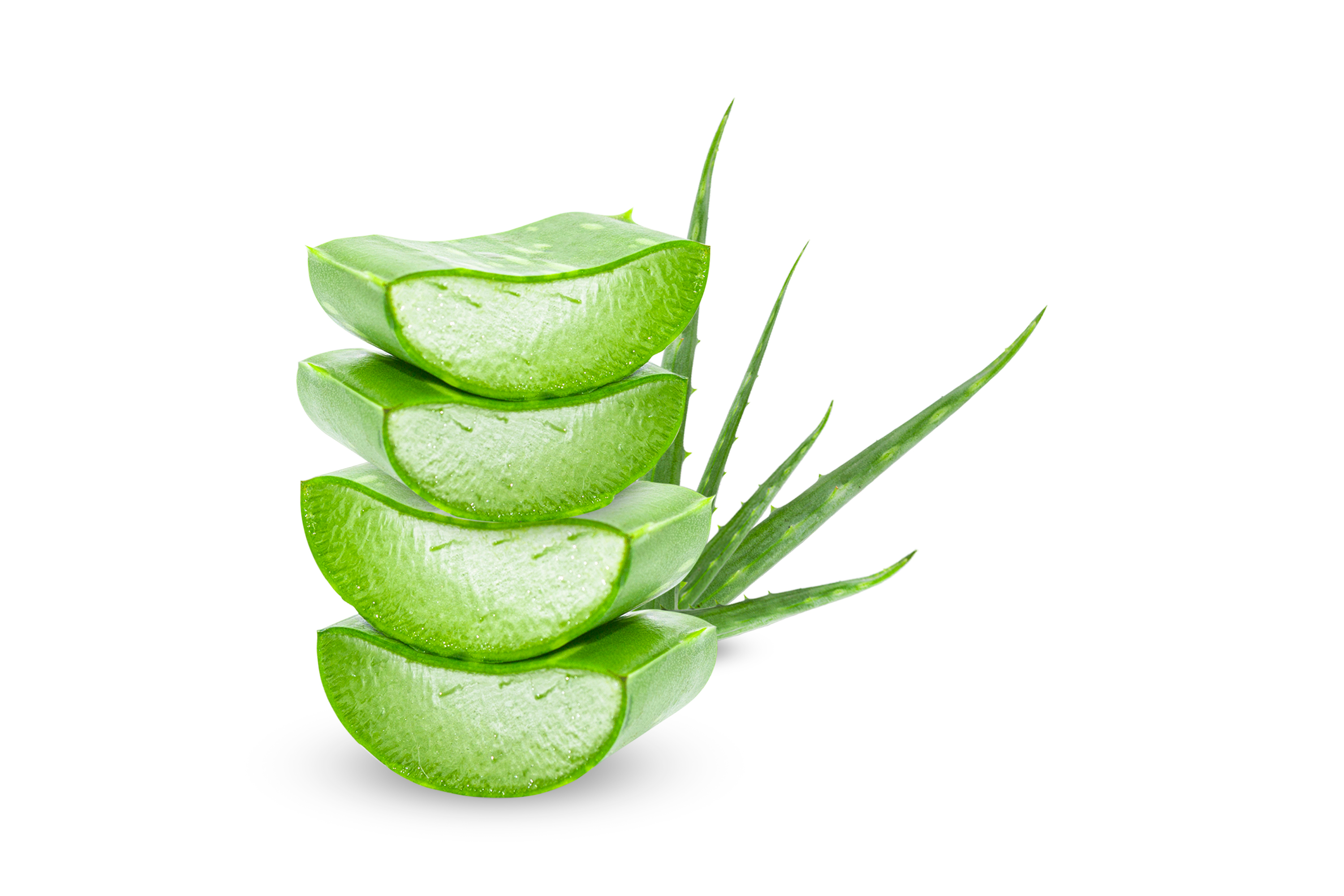 Tasty Pott Bio Aloe Vera 1L - Direktsaft