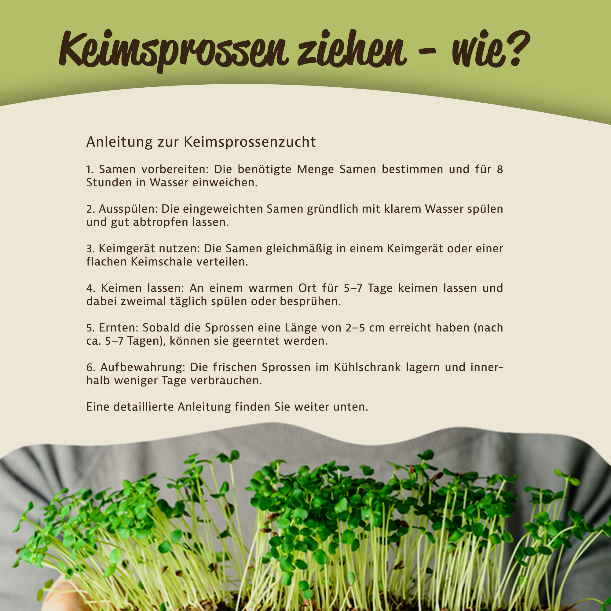 Mynatura Bio Keimsprossen Buchweizen Gemüse (500g)
