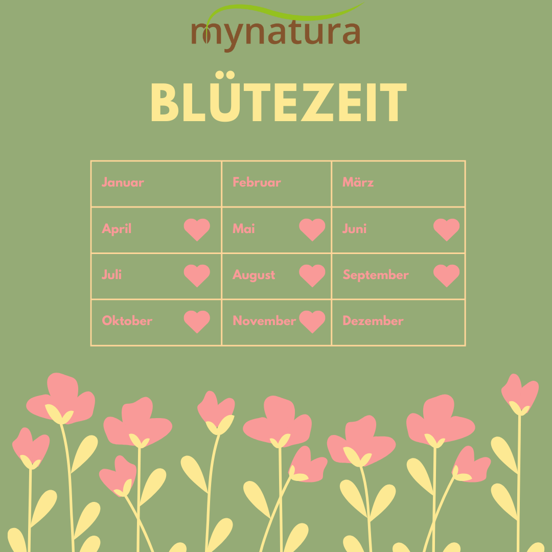 Mynatura Bienenspielplatz Bienenweide 50g