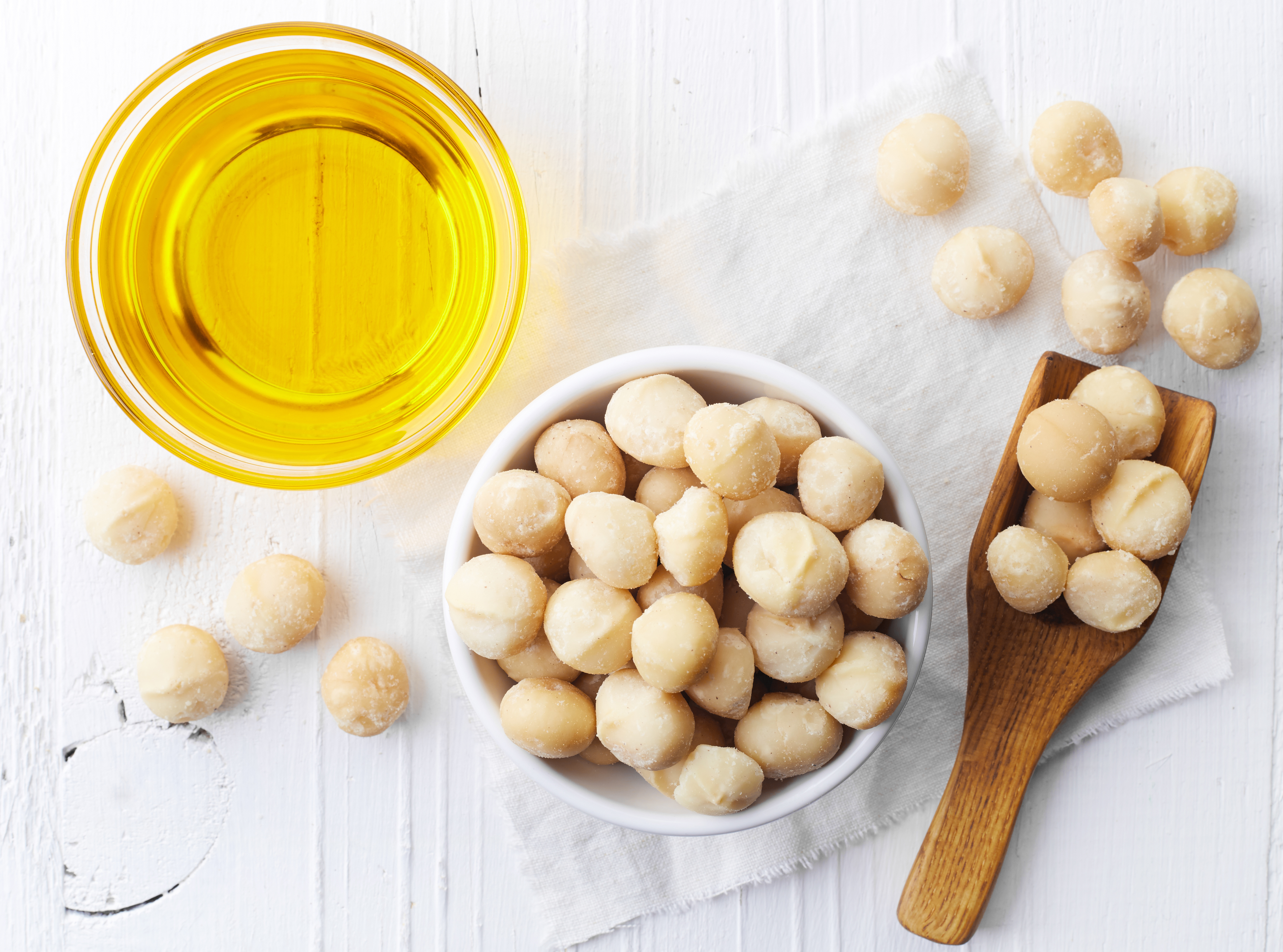 Macadamianüsse - Macadamia Nuss | 500g Tasty Pott