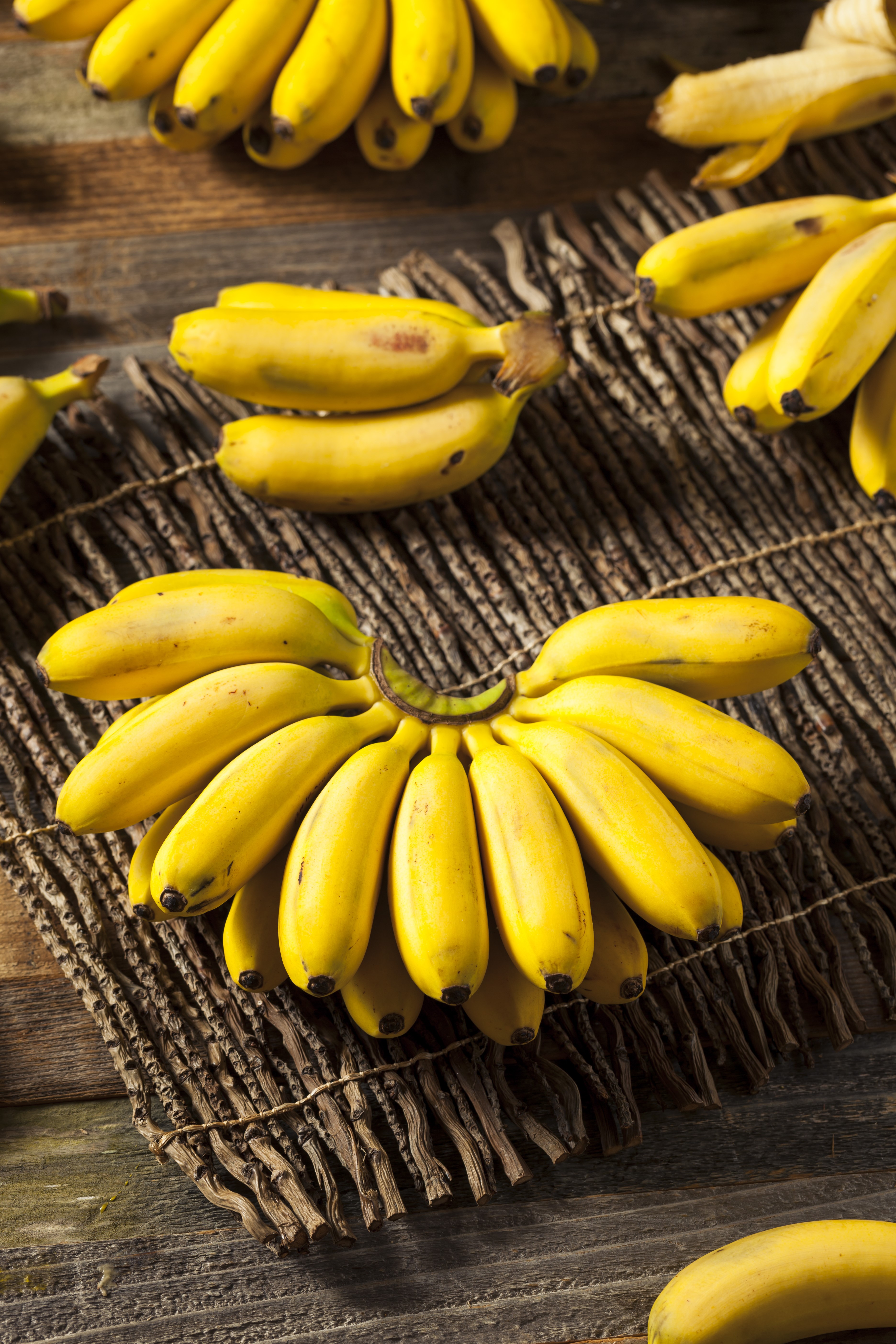 Baby Banane getrocknet - Babybananen - Tasty Pott 