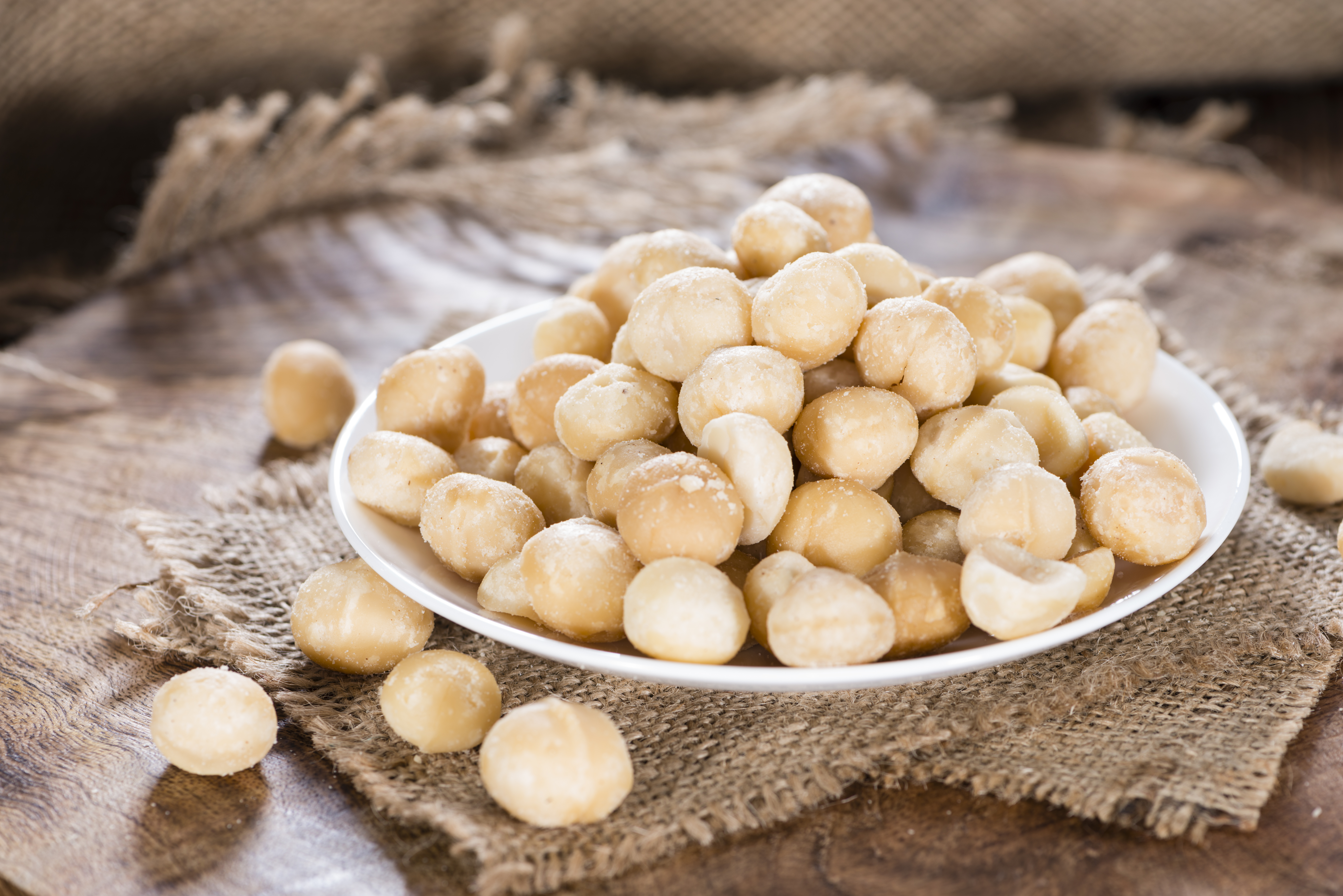 Macadamianüsse - Macadamia Nuss | 500g Tasty Pott