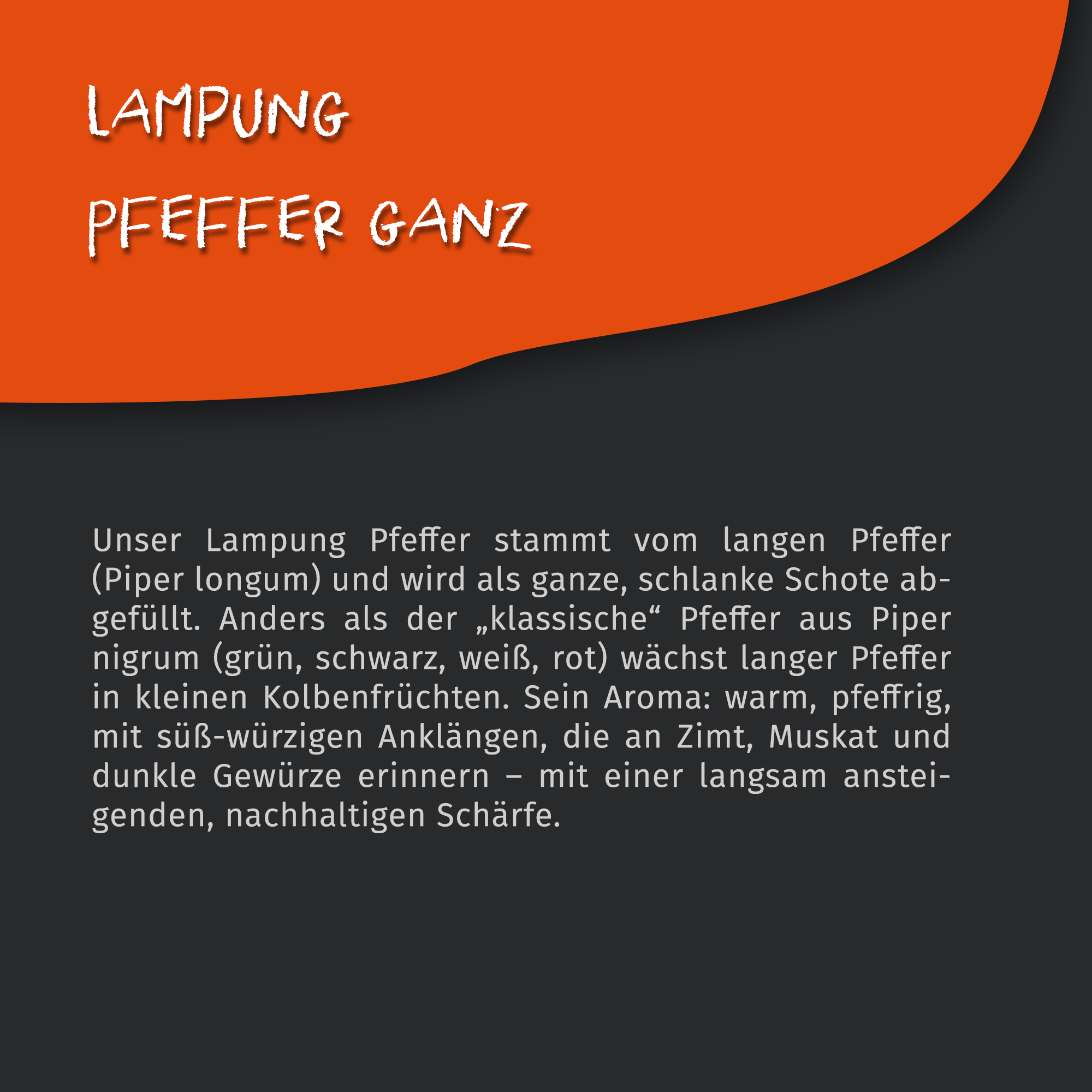 Lampung Pfeffer ganz - Stangenpfeffer - 50g Dose von Tasty Pott