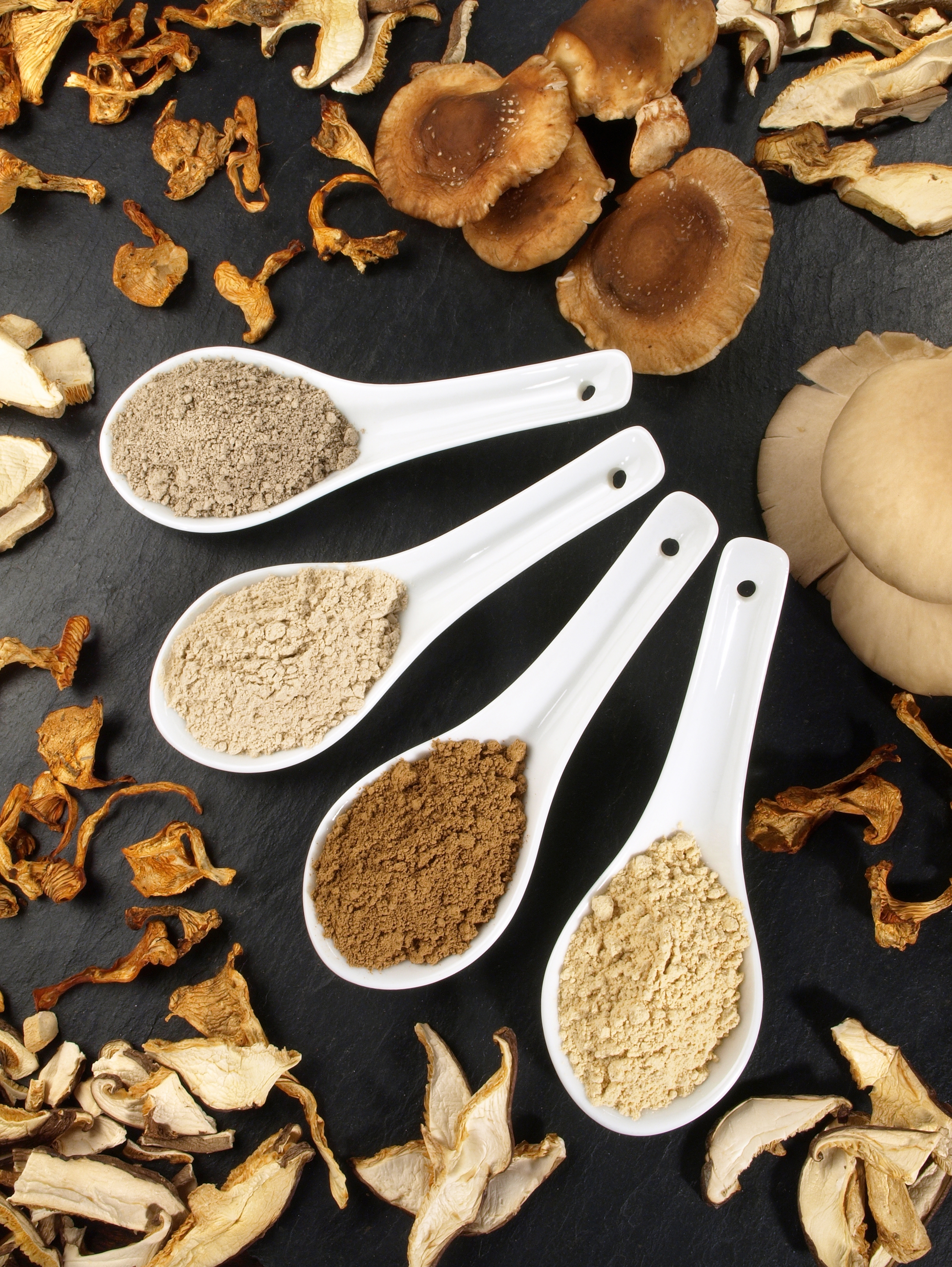 Mynatura Bio Power Vital Set - Für eine natürliche Nahrungsergänzung Mynatura Bio Power Vital Set - Für eine natürliche Nahrungsergänzung