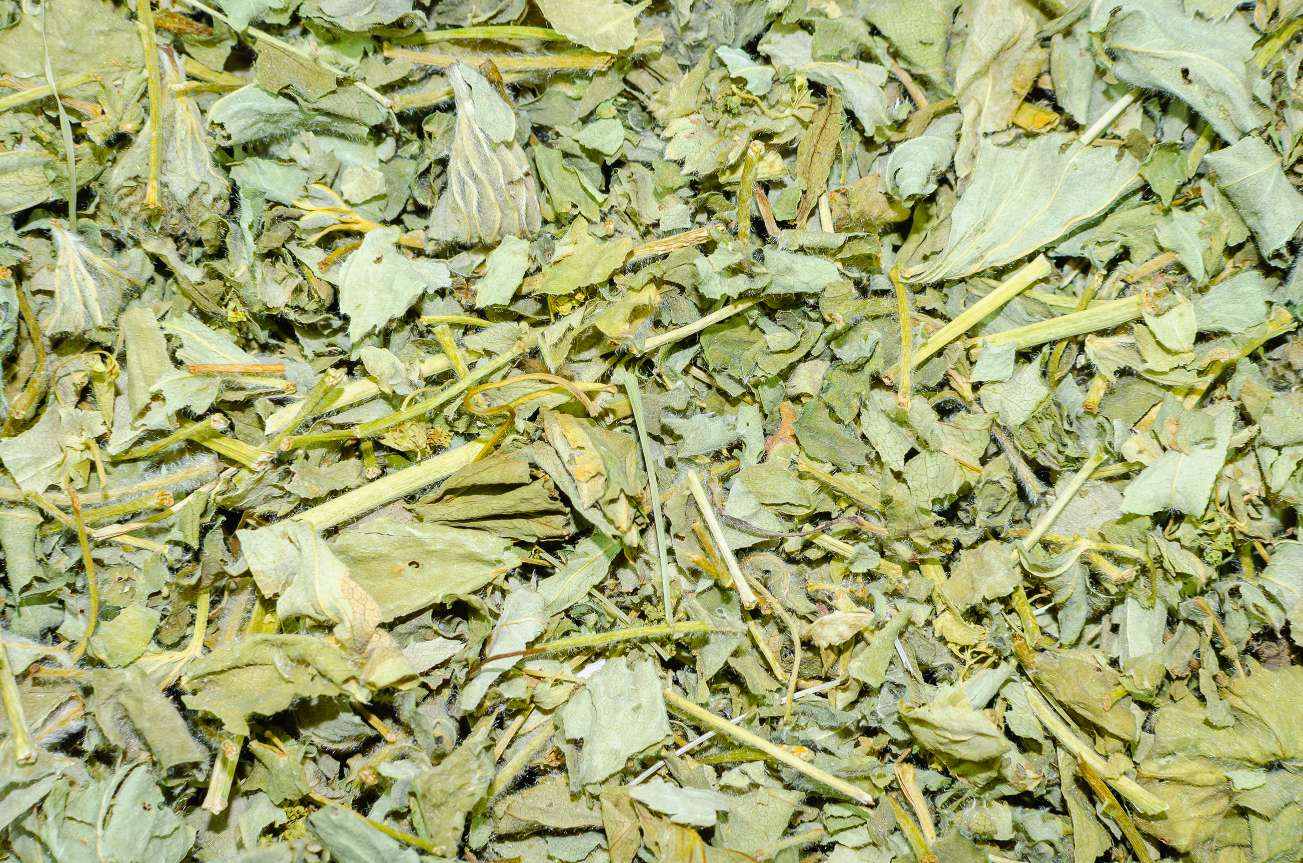 Mynatura  Getrocknetes & geschnittenes Frauenmantelkraut kaufen | Bioqualität für Kräutertee & Küche 100g