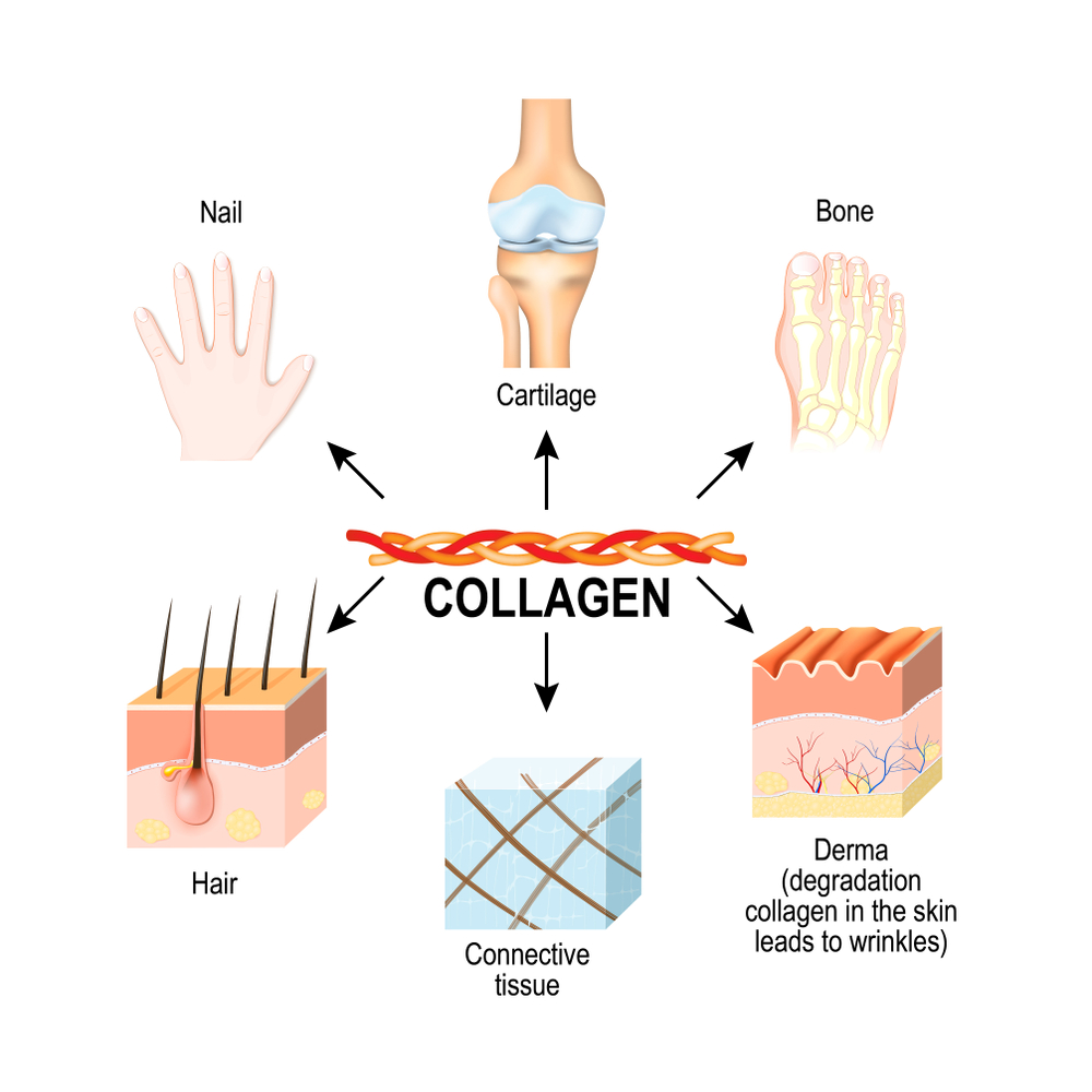 Mynatura Hyaluron + Collagen Pulver Mix (400g)