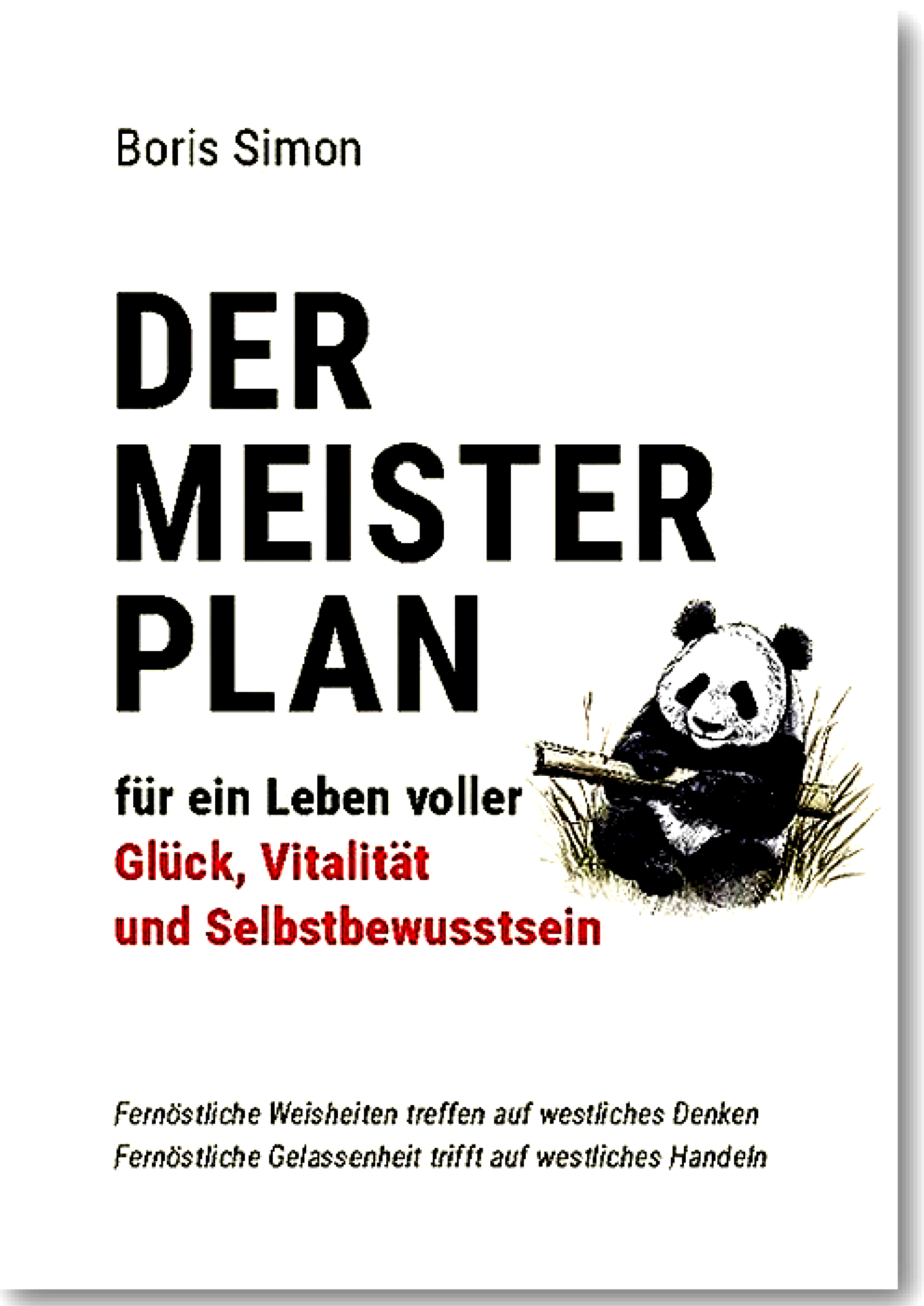 Buch Der Meisterplan von Boris Simon (Softcover)