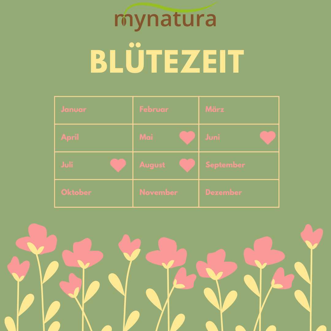 Mynatura Bio Mohnwiese Saatgutmischung (3g)